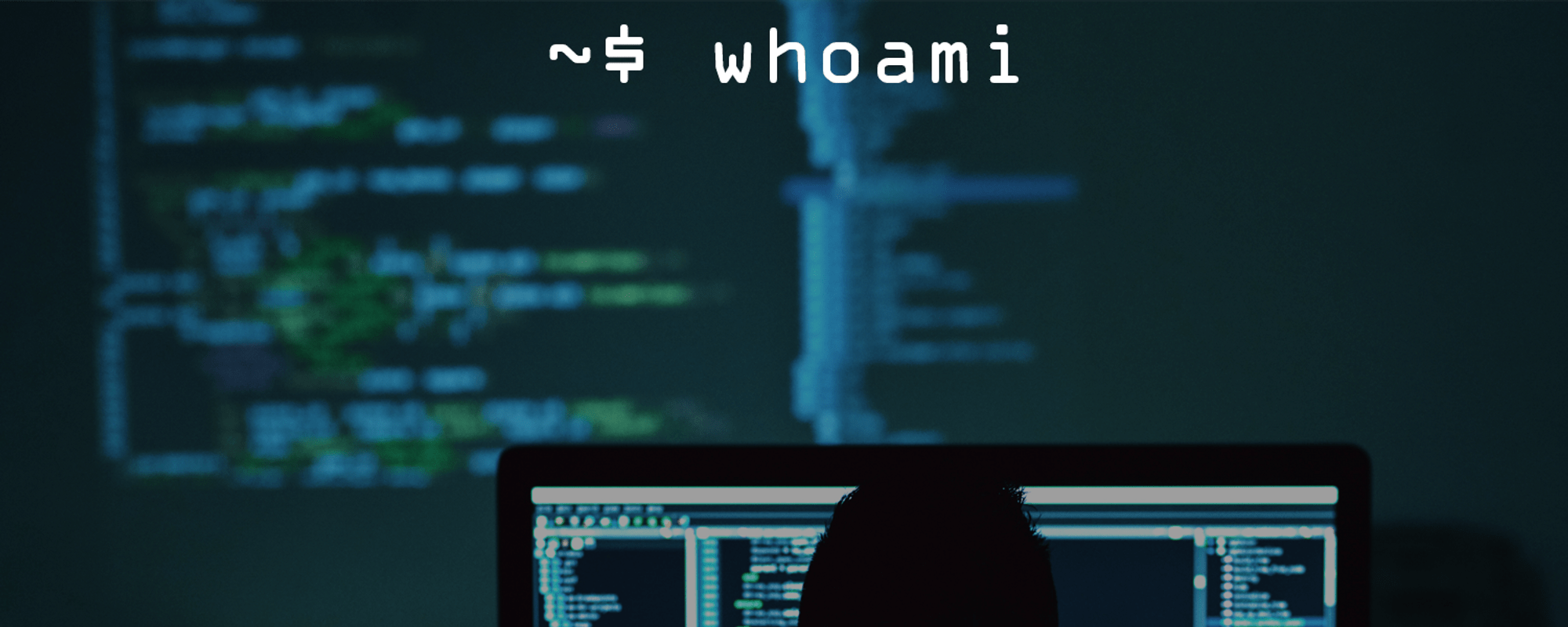 2000x800 whoami?