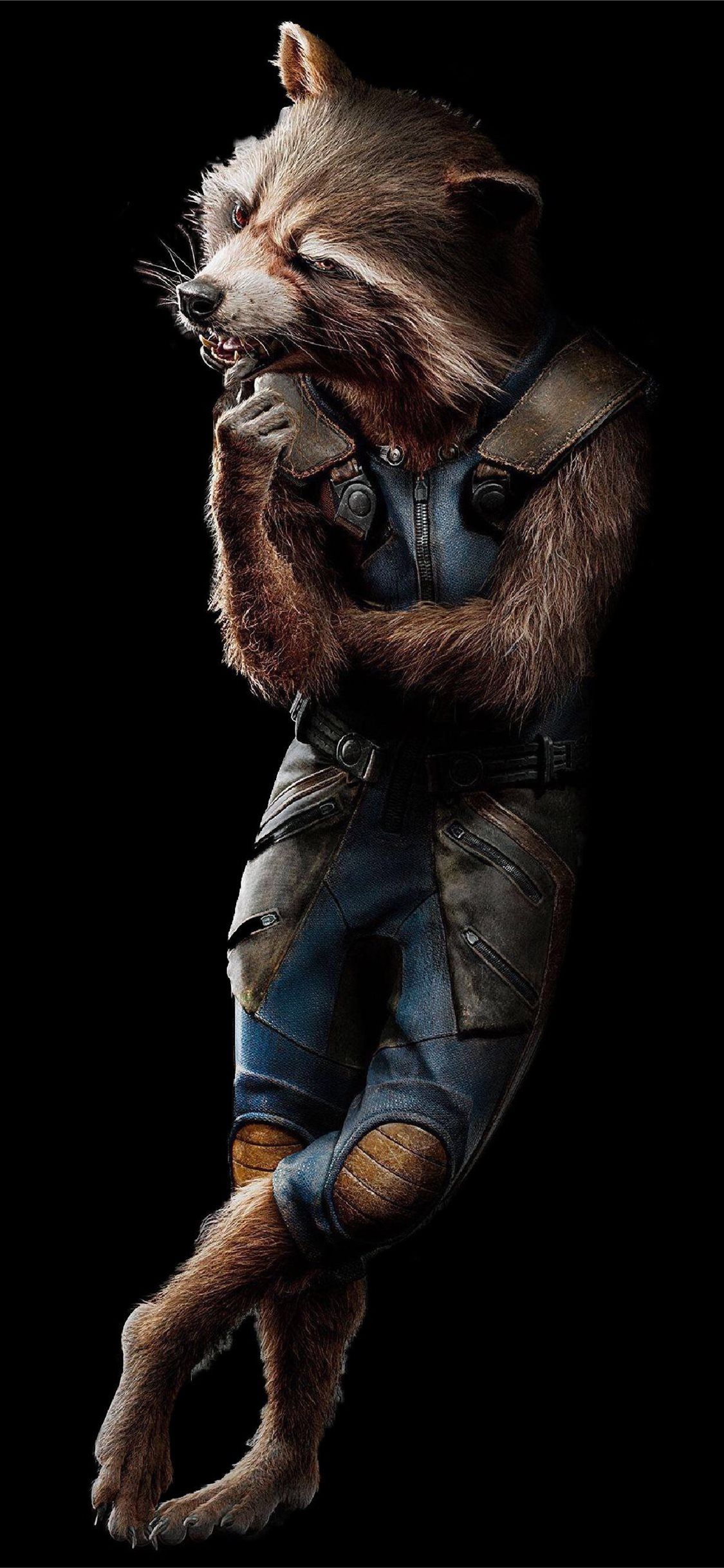1125x2436 Best Rocket raccoon iPhone HD Wallpaper
