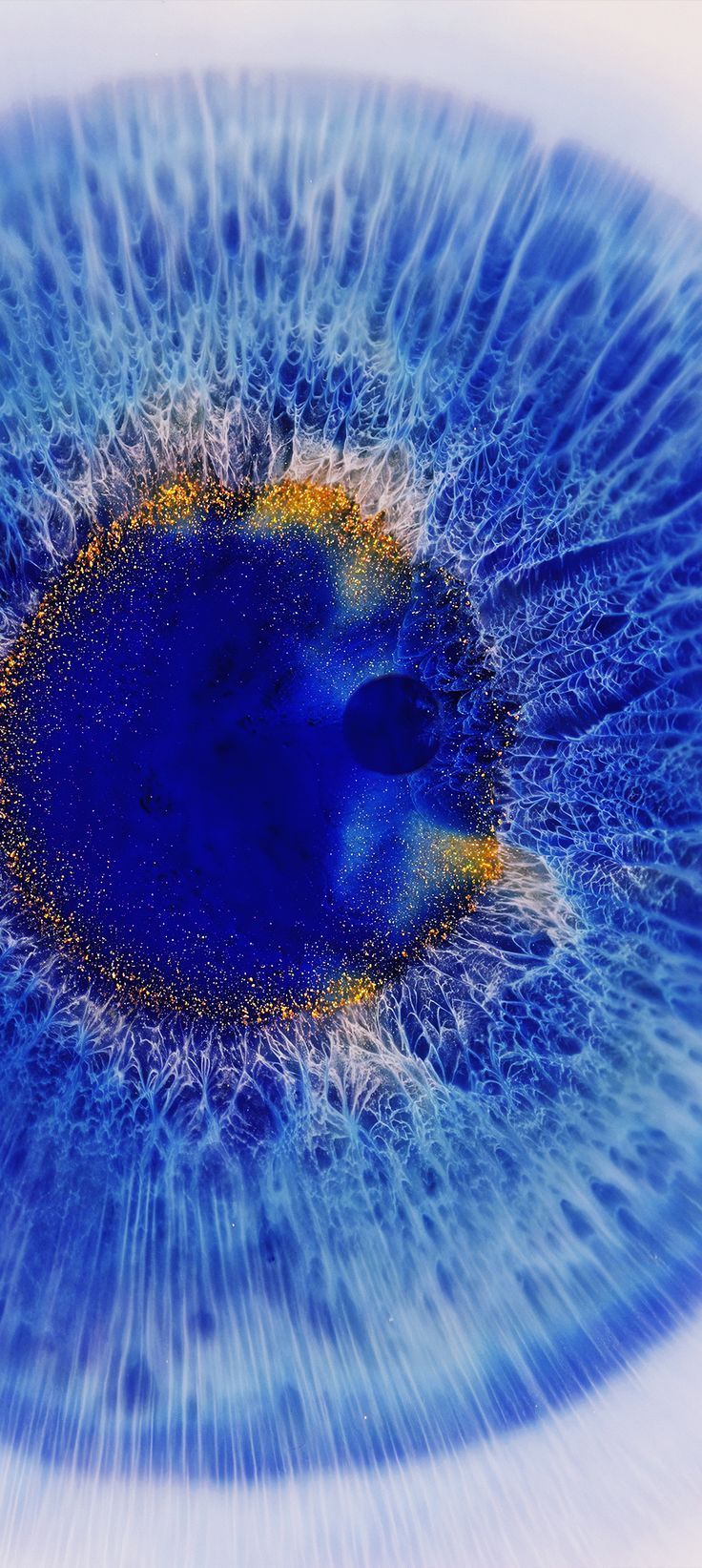 Oppo Find X3 Pro Wallpapers Top Free Oppo Find X3 Pro Backgrounds