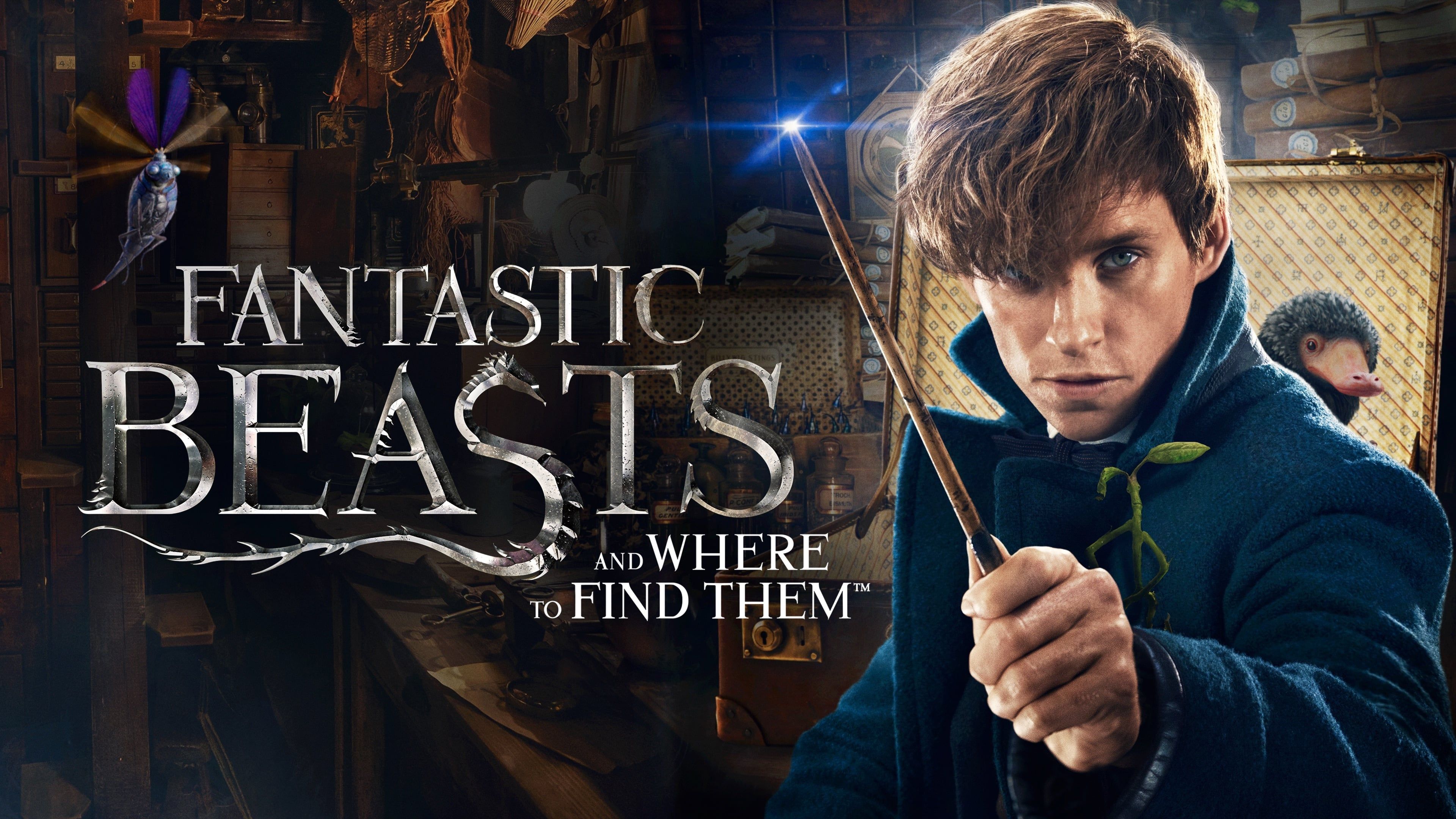 3840x2160 Fantastic Beasts and Where to Find Them 4k Ultra HD Wallpaper