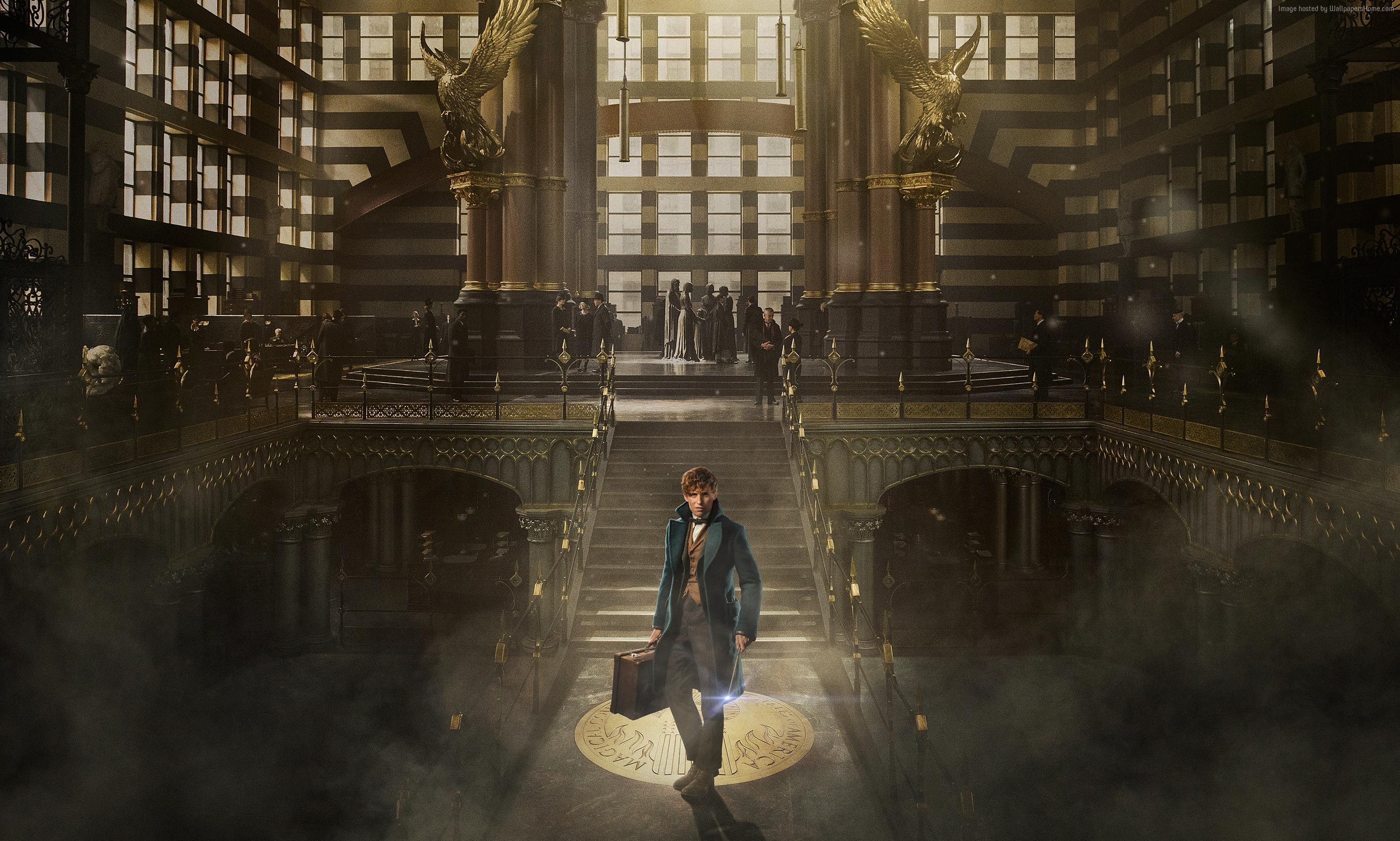 2764x1661 Eddie Redmayne, Fantastic Beasts And Where To Find Them, Best Movies Gallery HD Wallpaper