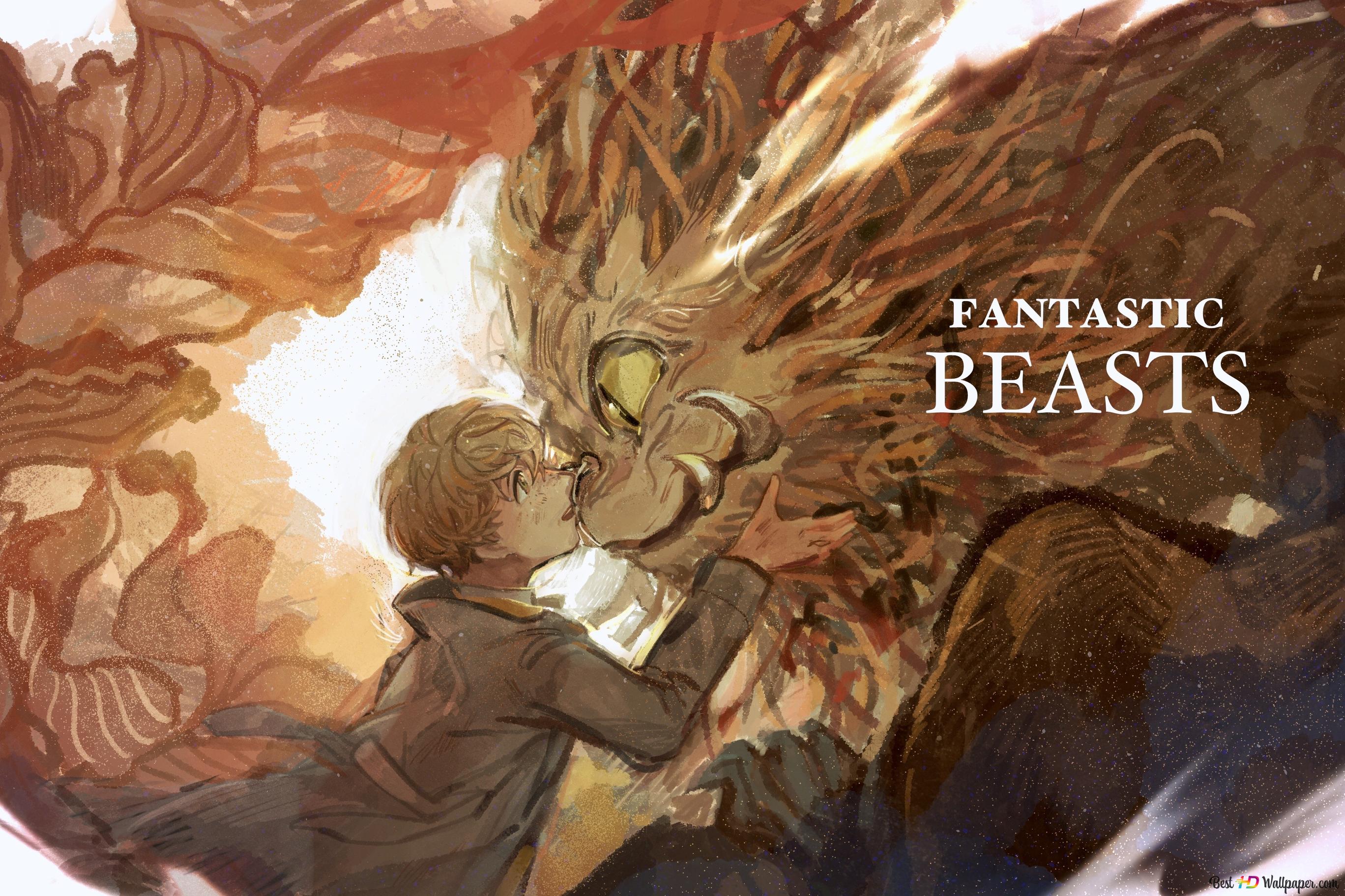 2736x1824 Fantastic Beasts And Where To Find Them 4K wallpaper download