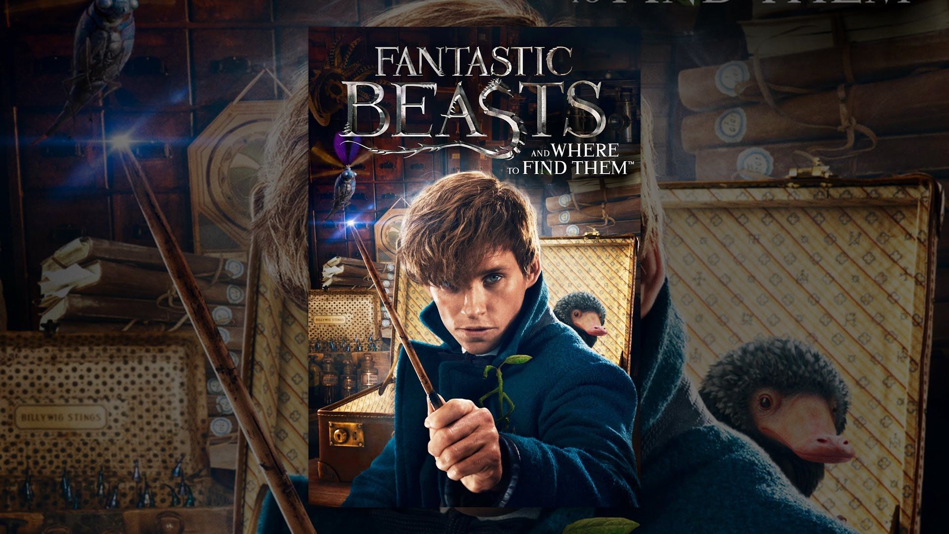 Fantastic Beasts And Where To Find Them Poster Fantastic Beasts and Where To Find Them Wallpapers - Top Free Fantastic