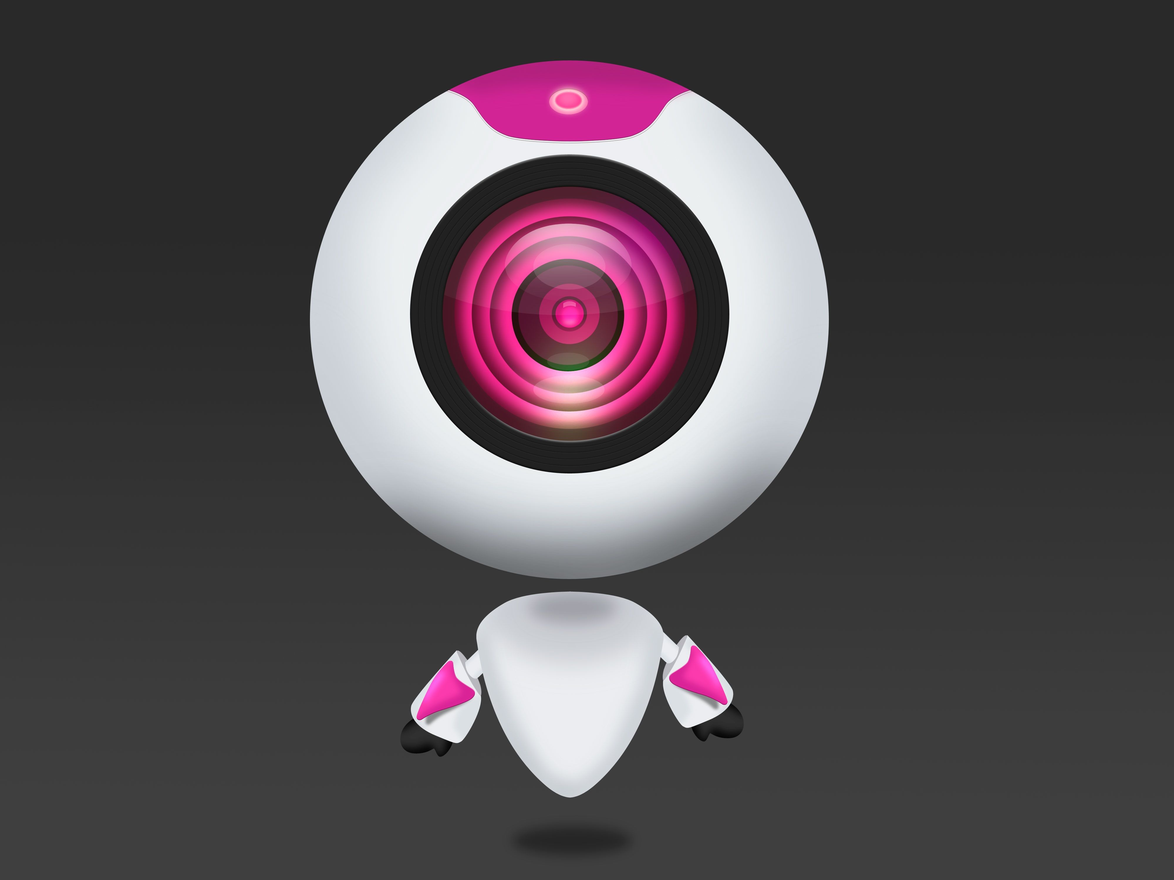 4000x3000 Pink Webcam Robot