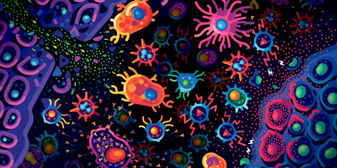 immune-system-wallpapers-top-free-immune-system-backgrounds