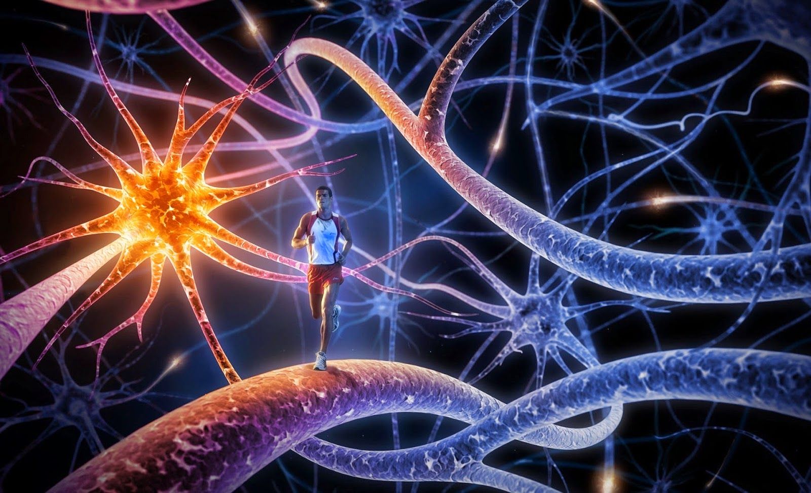 1600x972 Animated Immune System 101