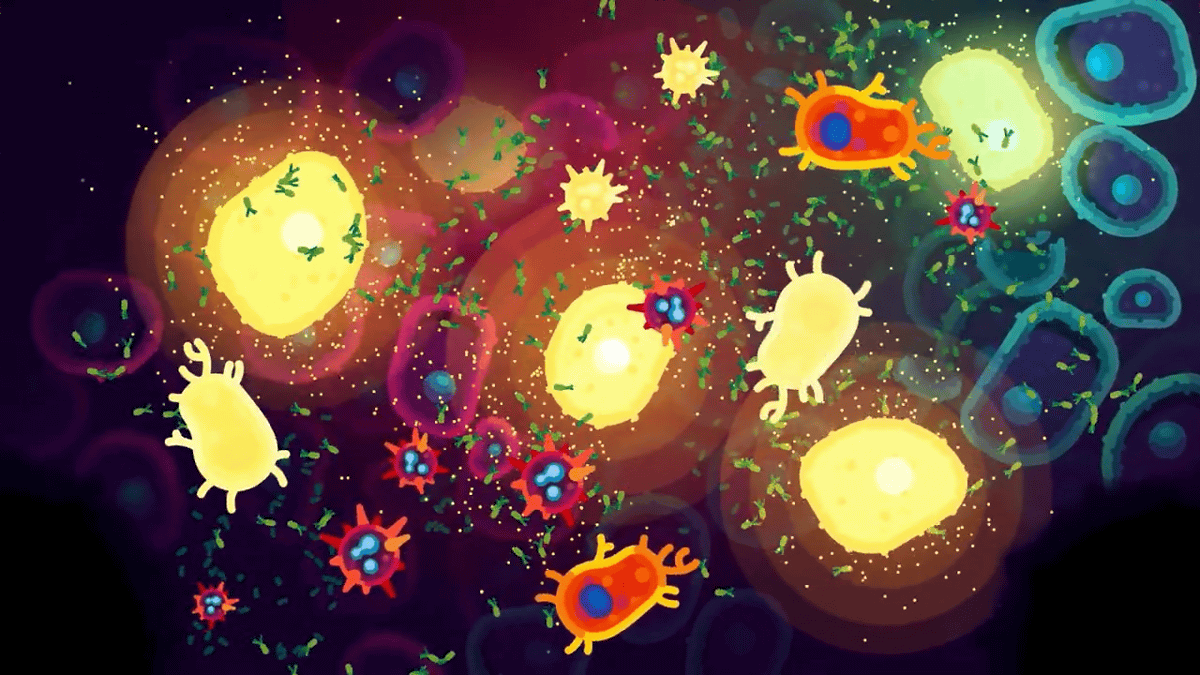 1200x675 What happens when the body's immune system fights pathogens, and what's the best way to strengthen the immune system?