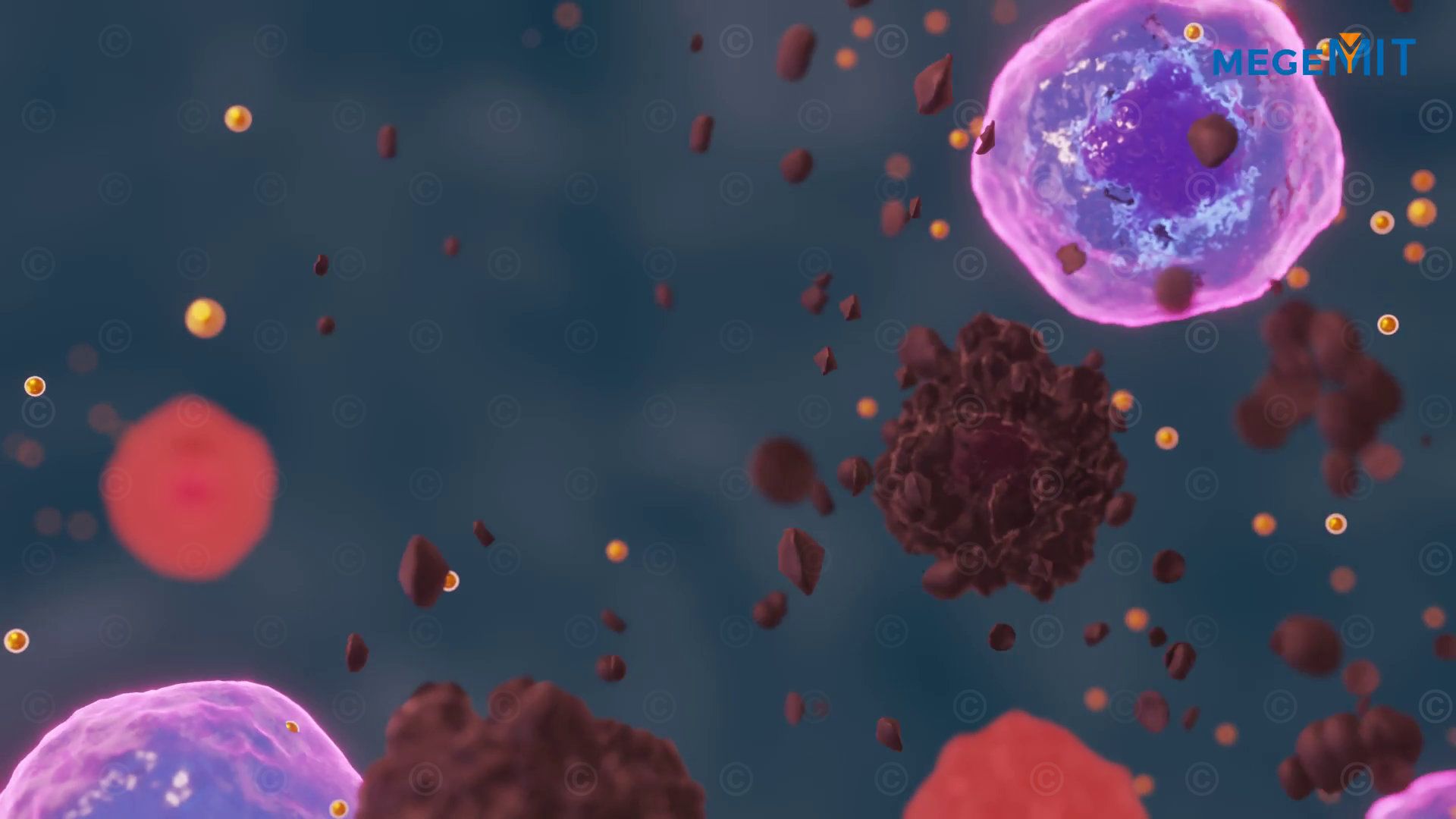 1920x1080 Animation immune system