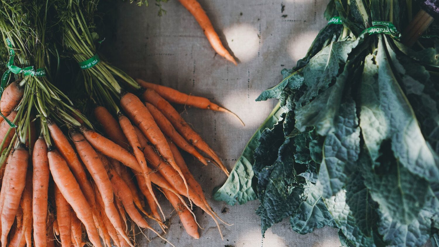 1500x844 Food and the Immune System