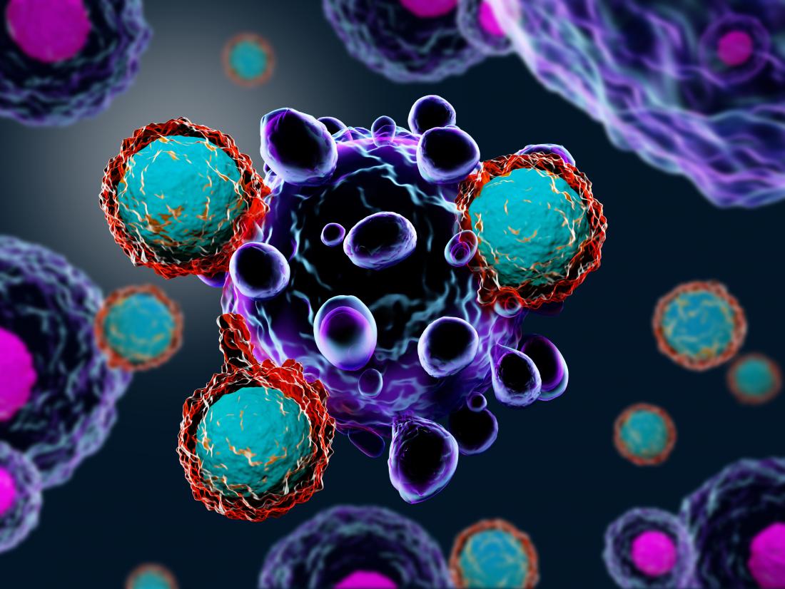 1100x826 Immunotherapy successful against deadly breast cancer