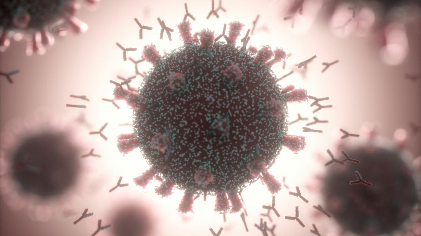 1600x900 The vaccine alternatives for people with compromised immune systems