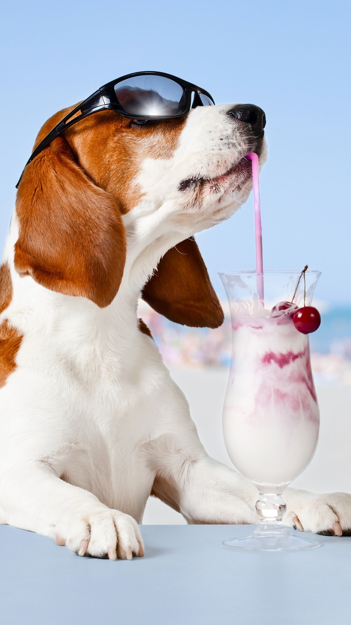 1440x2560 Wallpaper / Animal Basset Hound Phone Wallpaper, Humor, Milkshake, Dog, Sunglasses, 1440x2560 free download