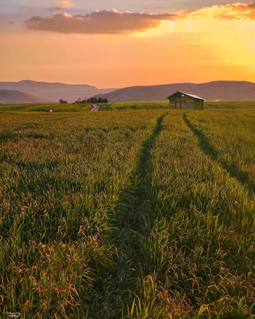1080x1350 The Rolling Hills Of Kermanshah, Eastern Kurdistan North West Iran