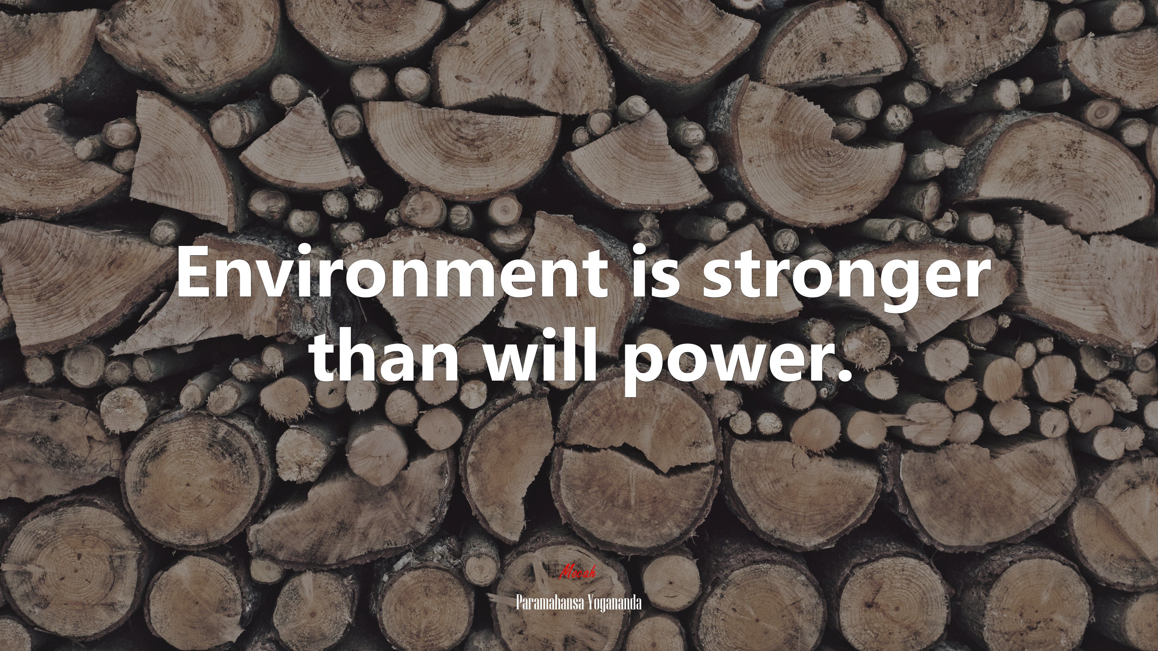 3840x2160 Environment is stronger than will power. Paramahansa Yogananda quote Gallery HD Wallpaper
