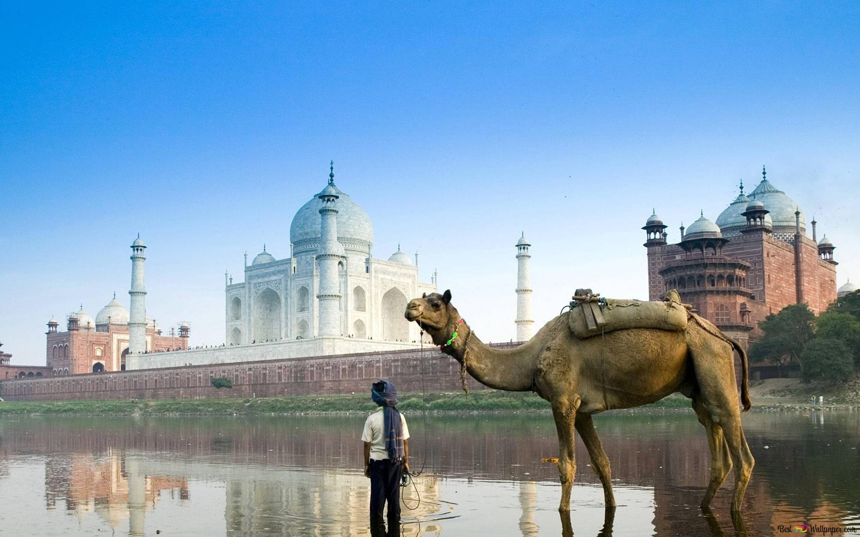 2880x1800 Beauty of Indian Culture 4K wallpaper download