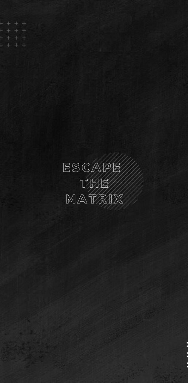 Escape The Matrix Wallpapers  Wallpaper Cave