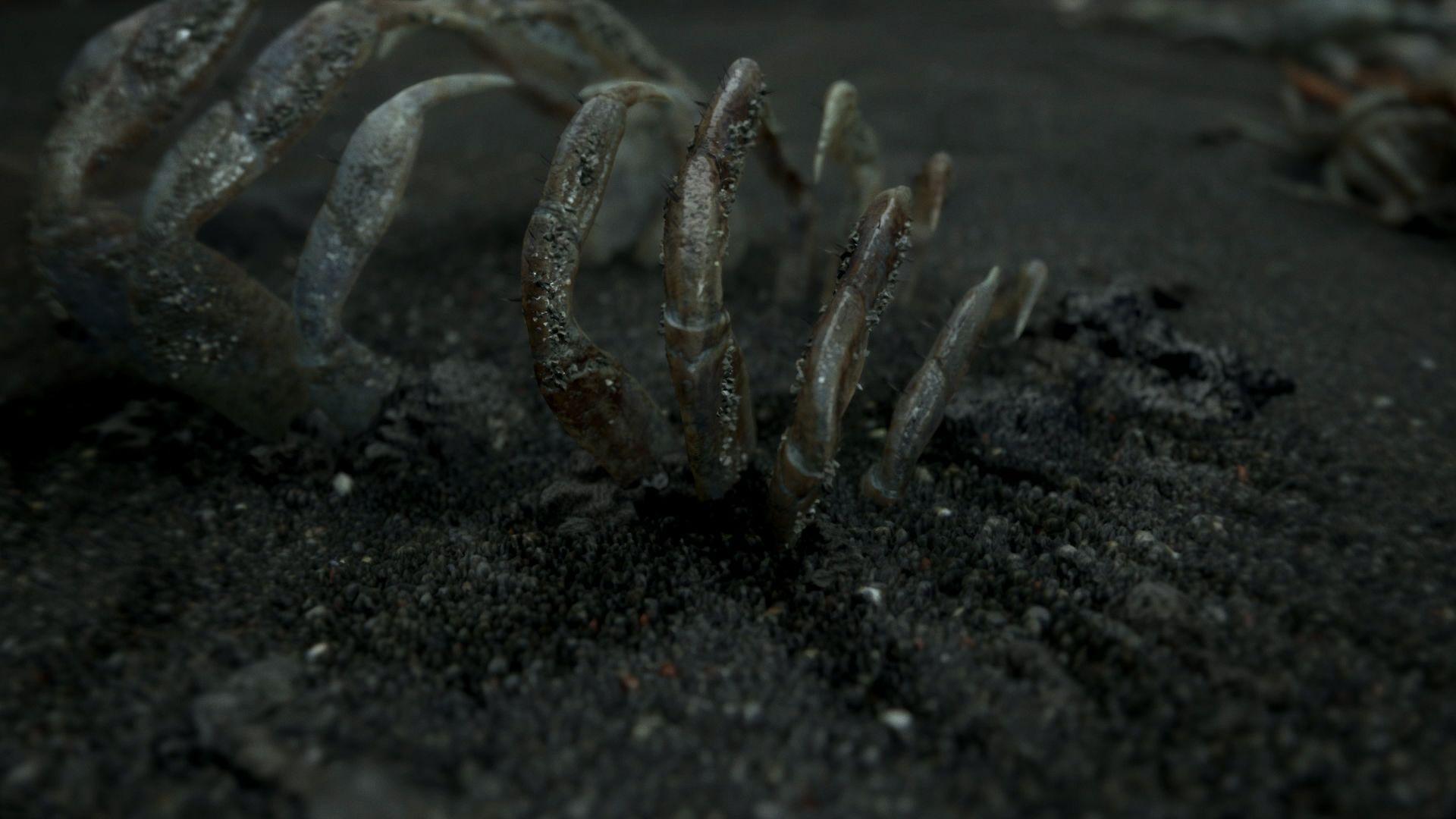 1920x1080 Death Stranding HD Wallpaper and Background Image