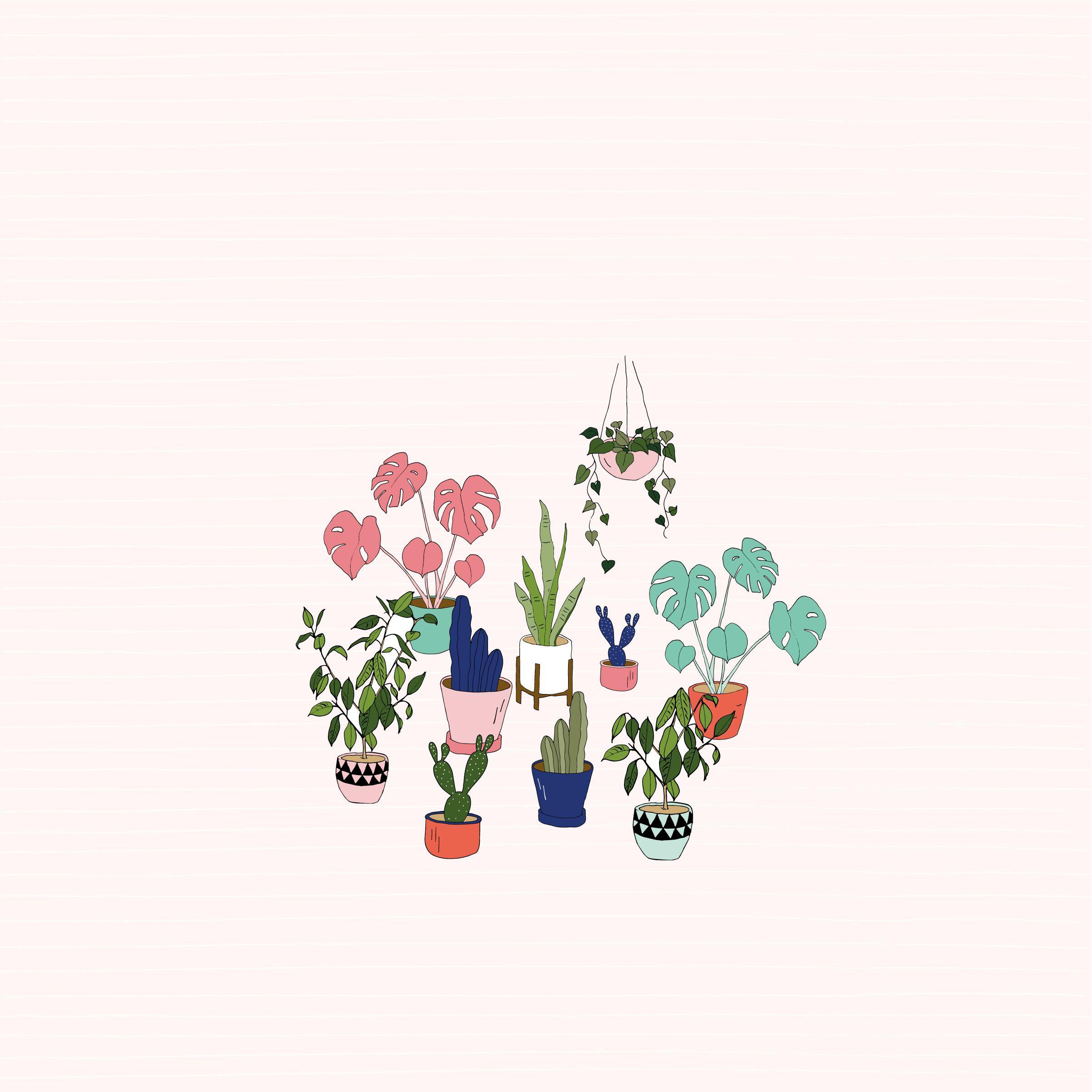 2401x2401 Urban jungle pot plant desktop wallpaper