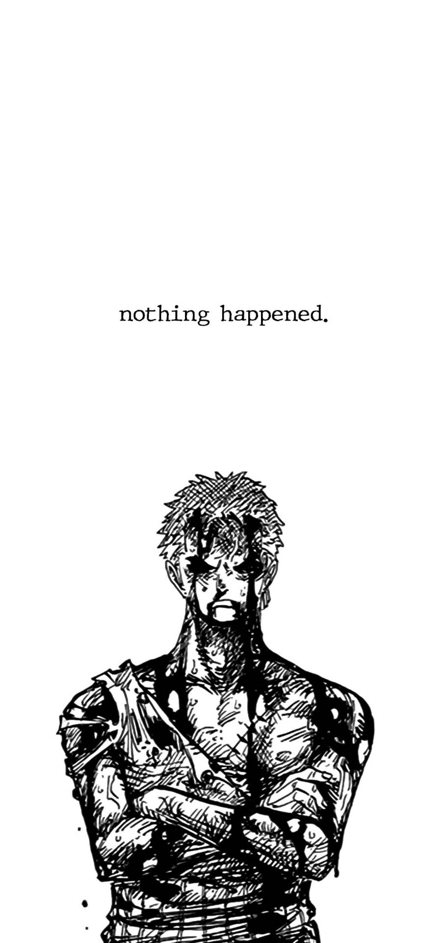 Zoro Nothing Happened Wallpapers Top Free Zoro Nothing Happened