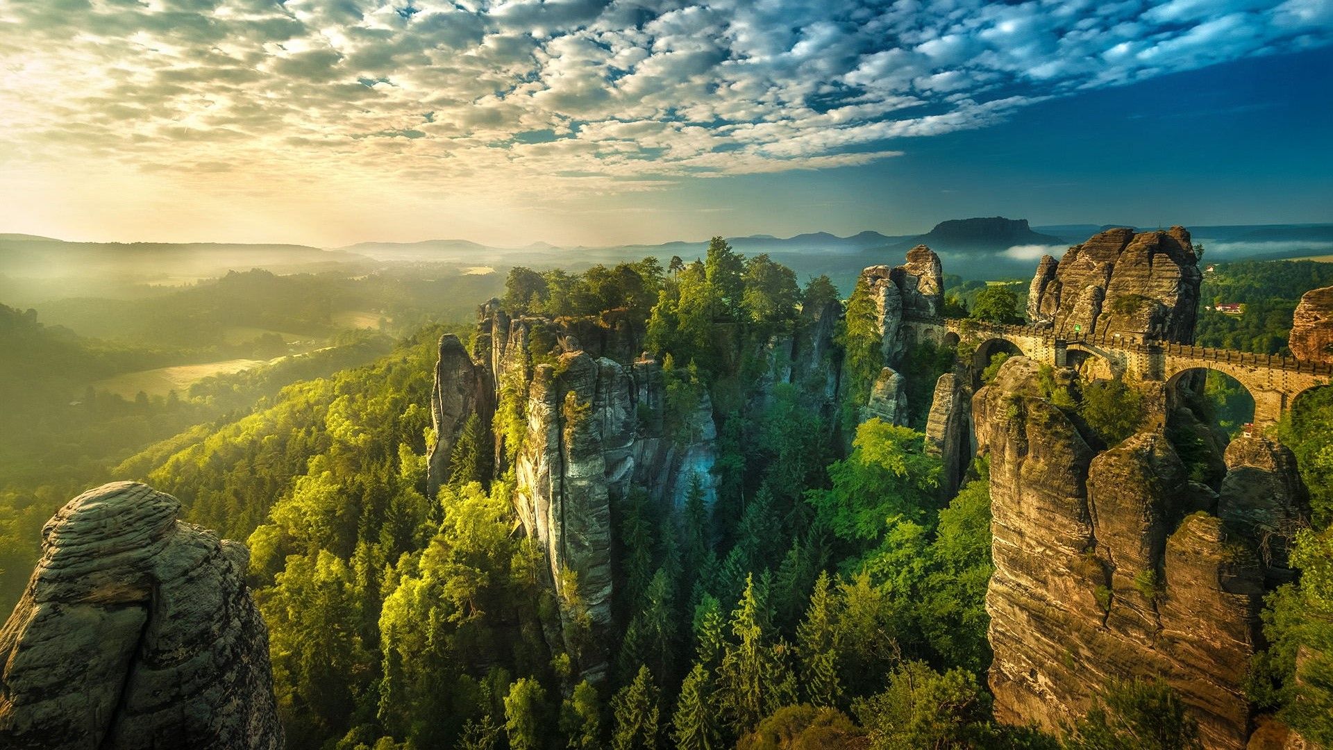 Saxon Wallpapers - Top Free Saxon Backgrounds - WallpaperAccess