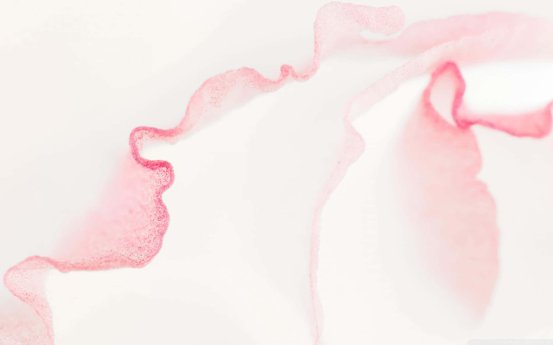 1920x1200 Pale Pink Background