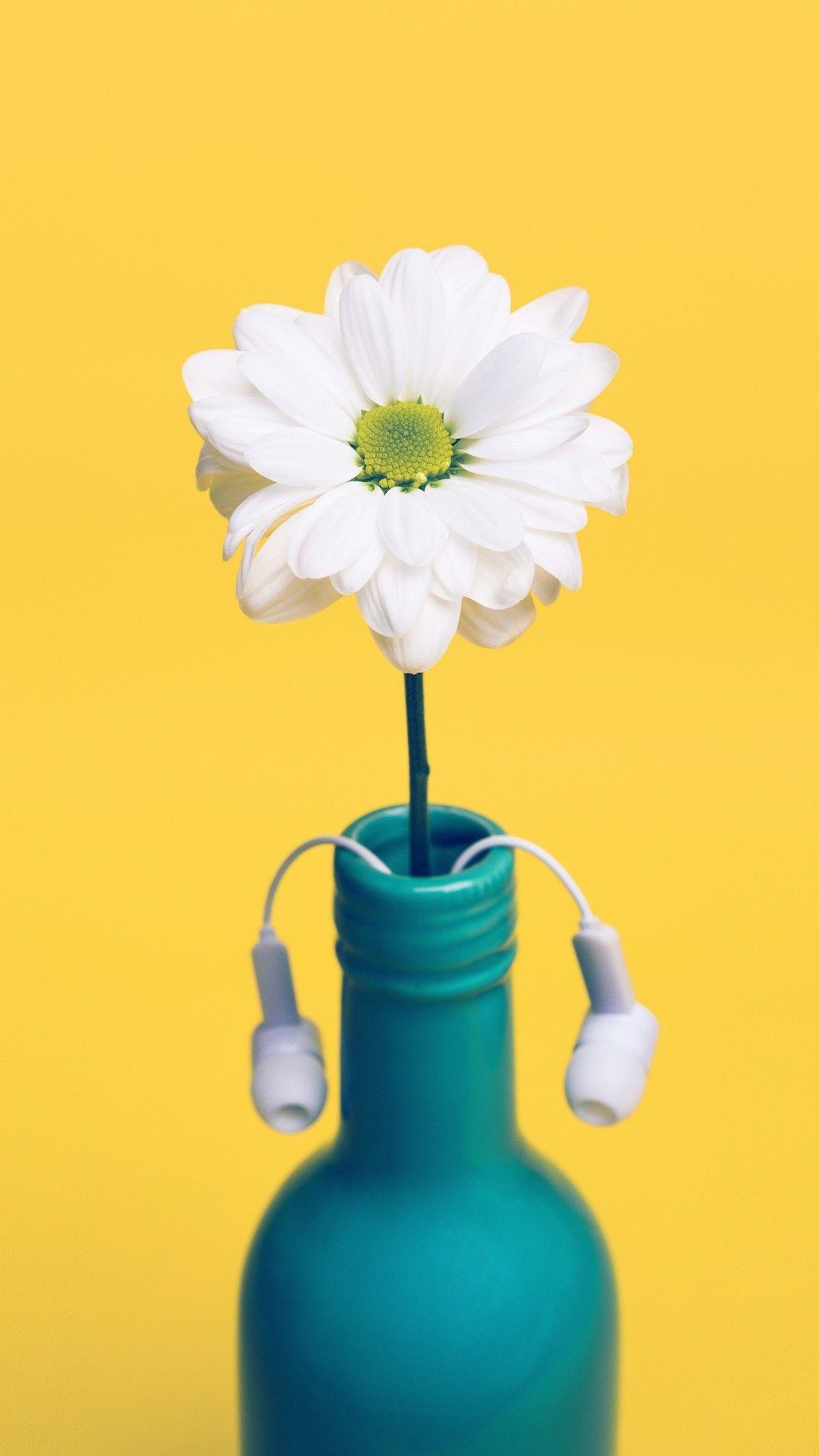 1080x1920 Download 1080x1920 White Flower, Daisy, Vase, Single, Earphones
