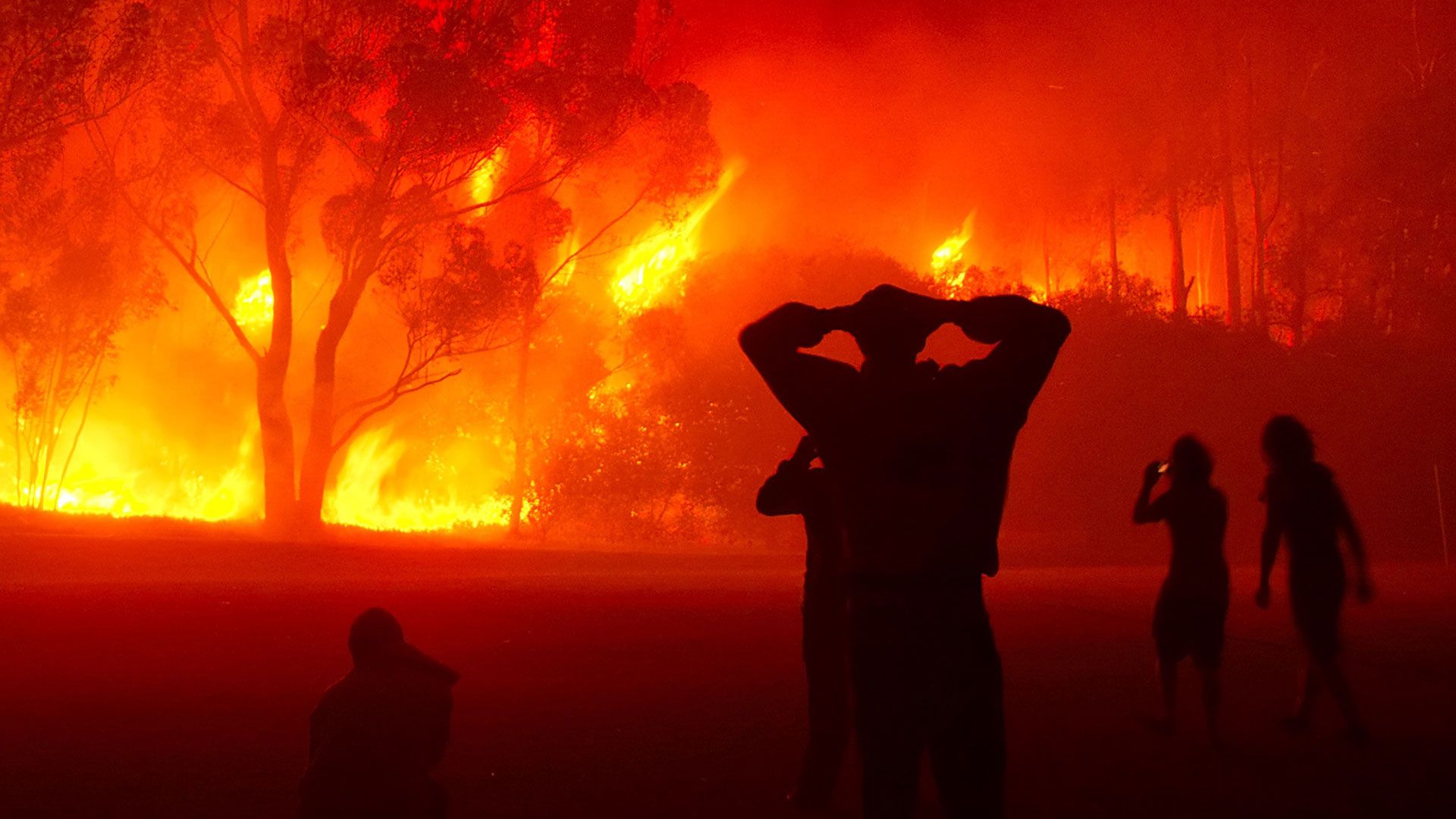 1920x1080 Incendie