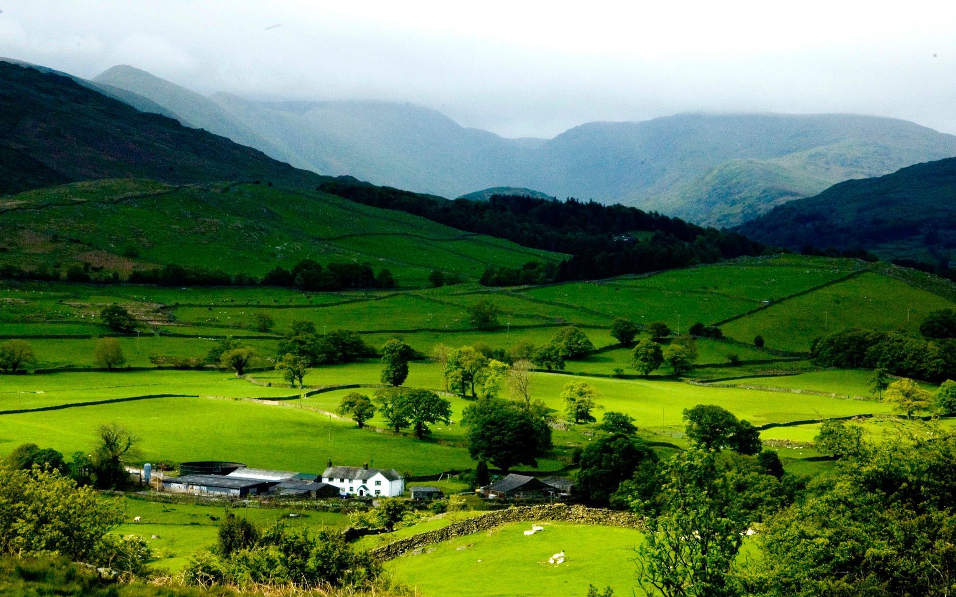 1920x1200 Green Valley Wallpaper