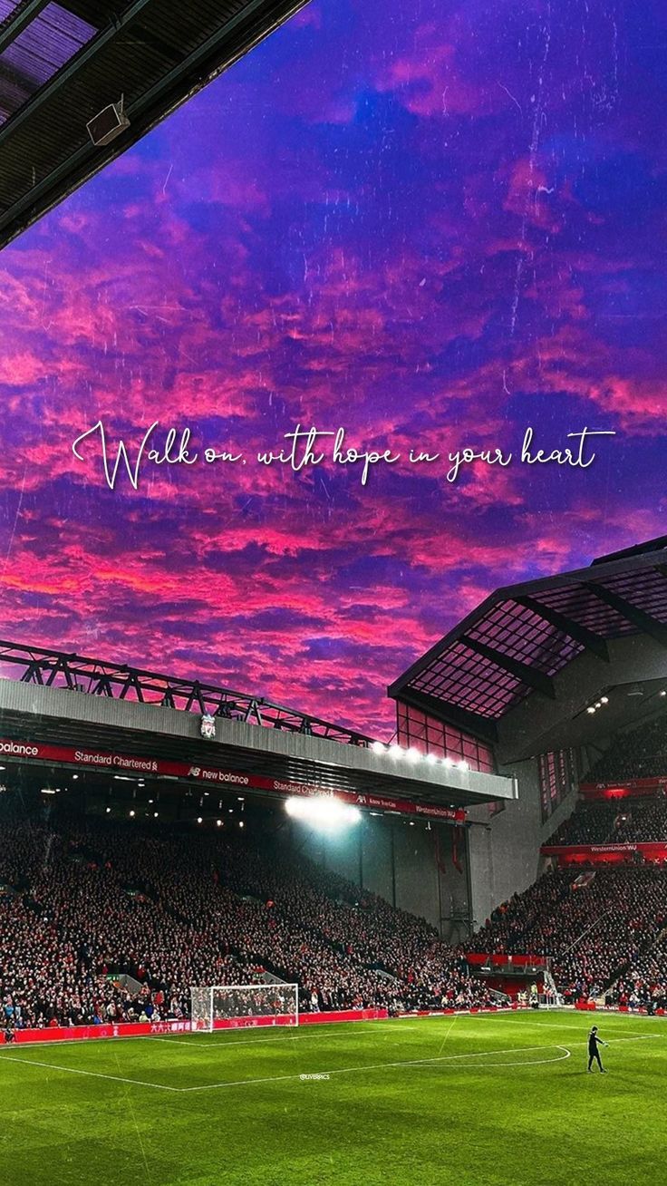 736x1308 Wallpaper