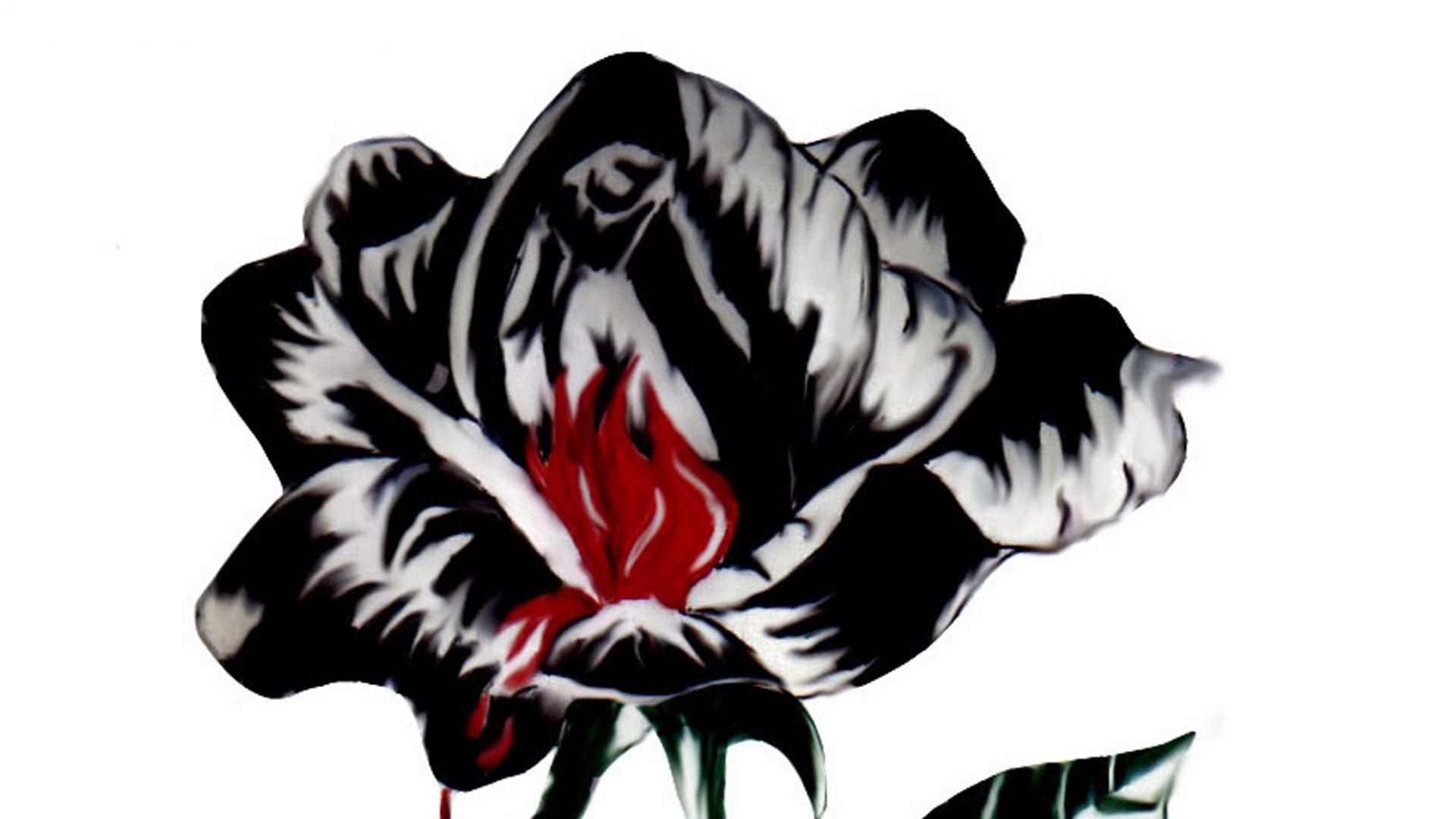 1920x1080 Tải xuống Hình nền 1920x1080 Hoa hồng đen aeonium, Đồ cổ hoa hồng đen
