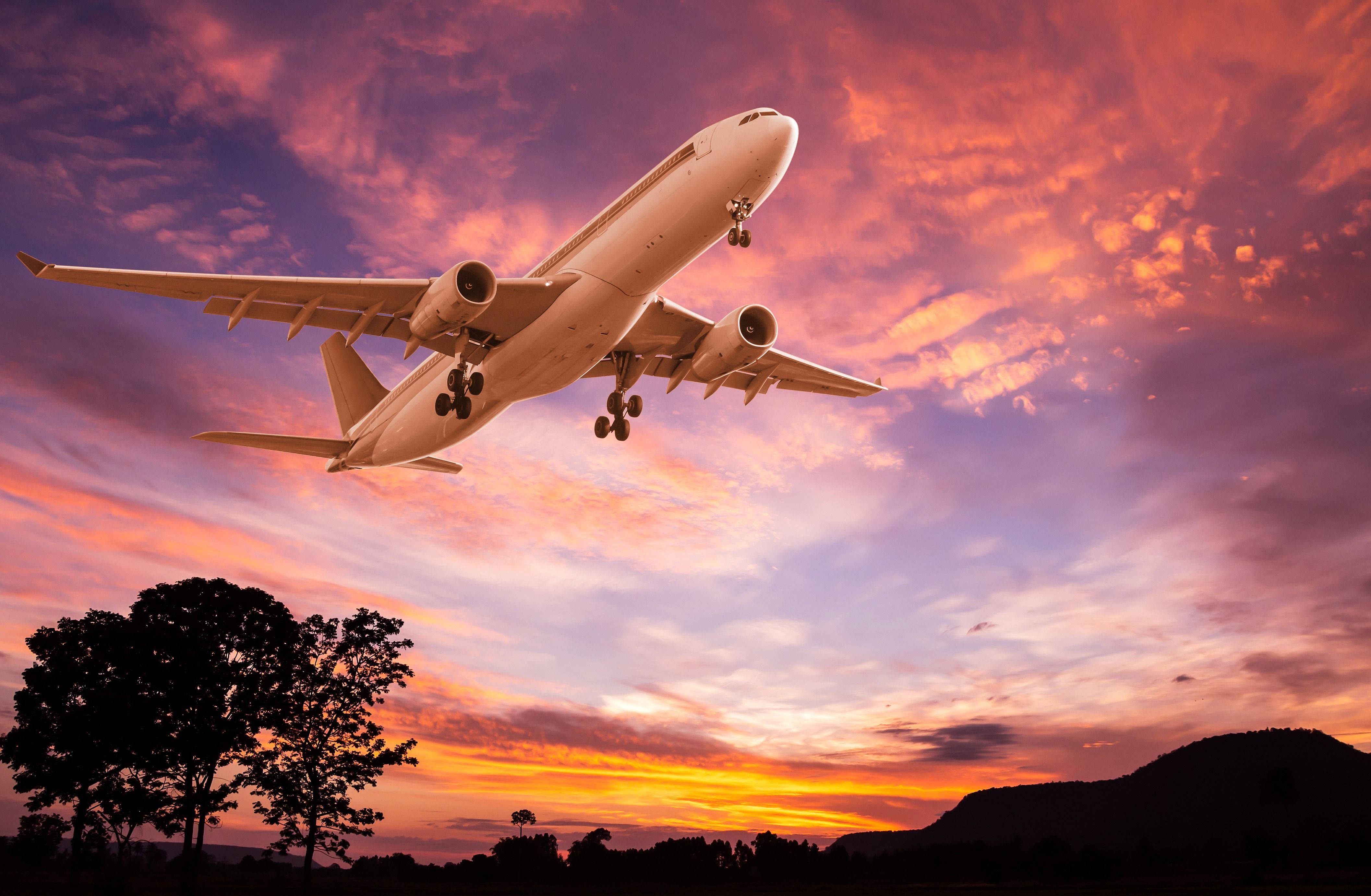 4227x2763 Download Take Flight Wallpaper