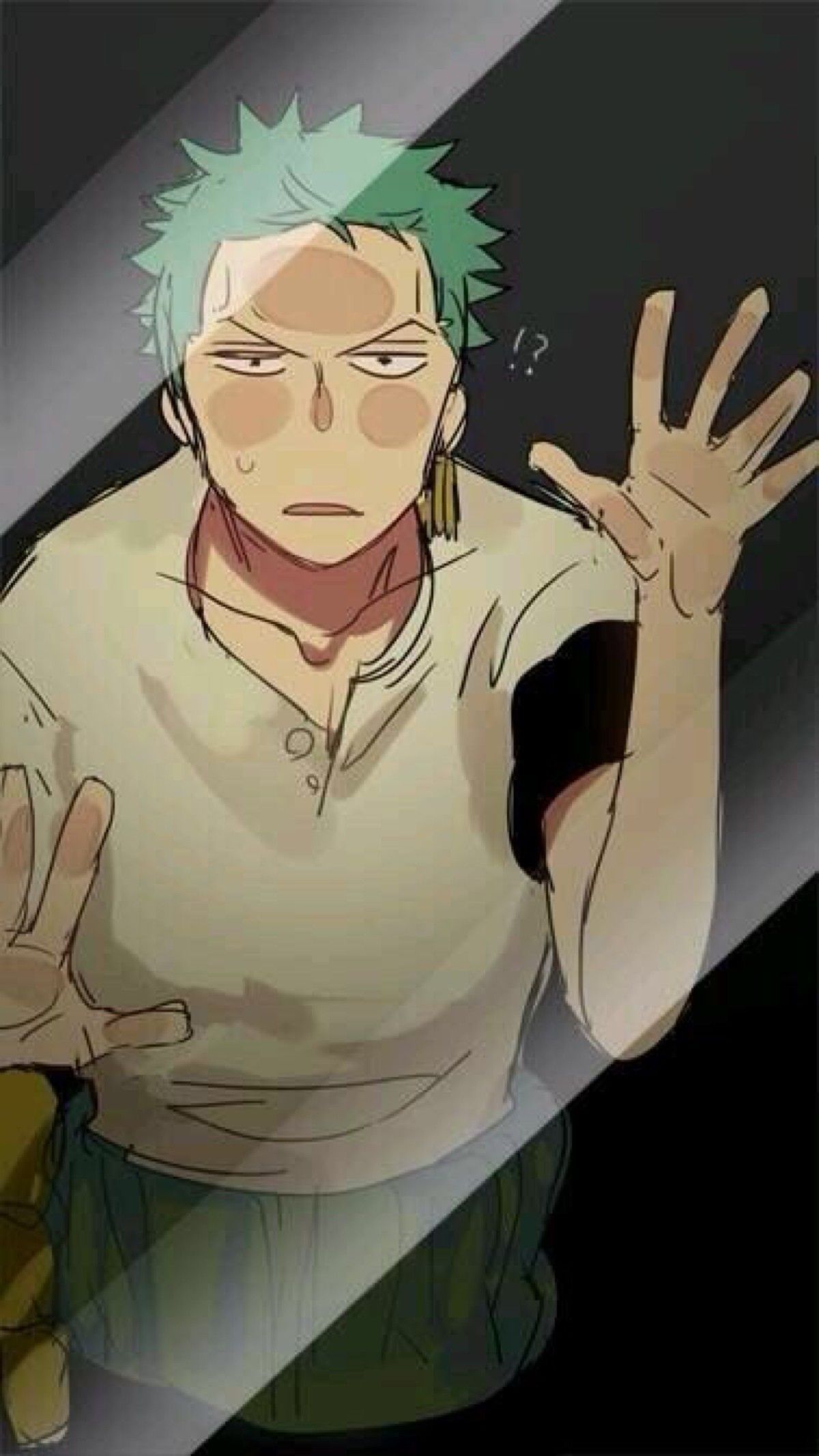 1200x2133 Zoro iPhone 4K Wallpaper