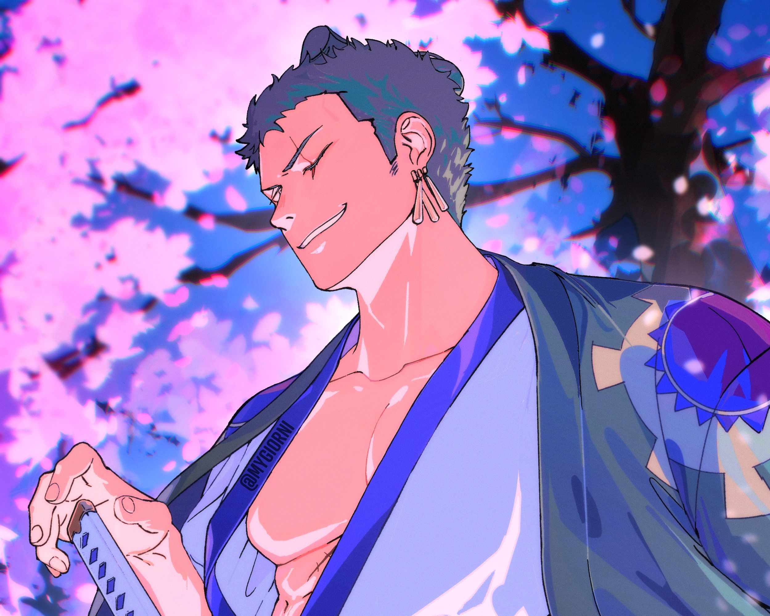 2498x1999 Roronoa Zoro HD Wallpaper and Background