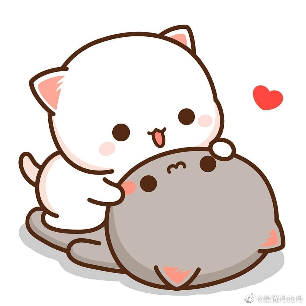 1000x1000 Mochi Cats Wallpaper
