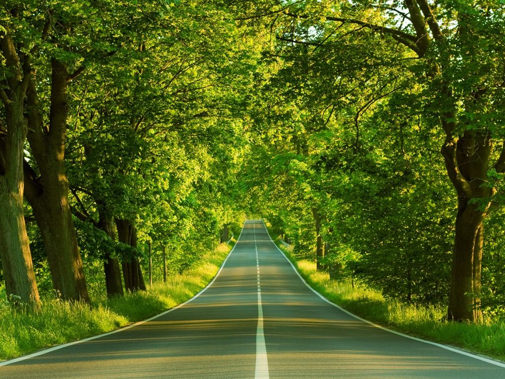 1024x768 Natural Wallpaper