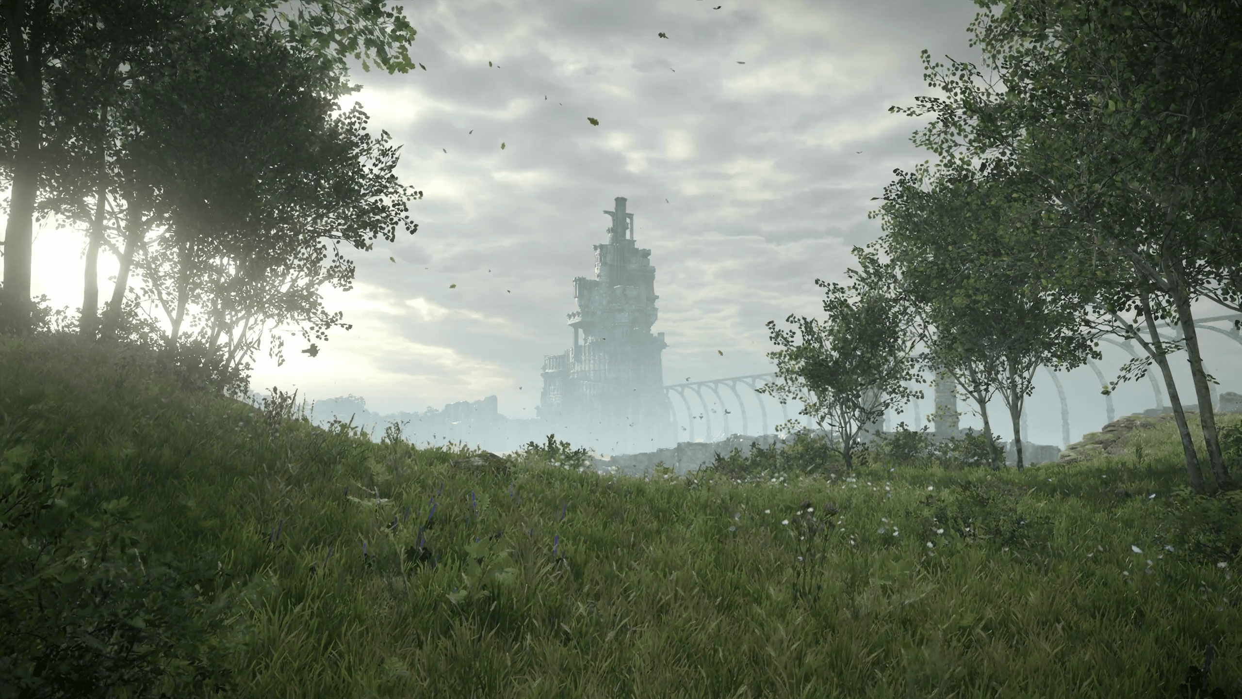 2560x1442 PS4 PRO Shadow of the colossus remaster E3 2017 4K Desktop