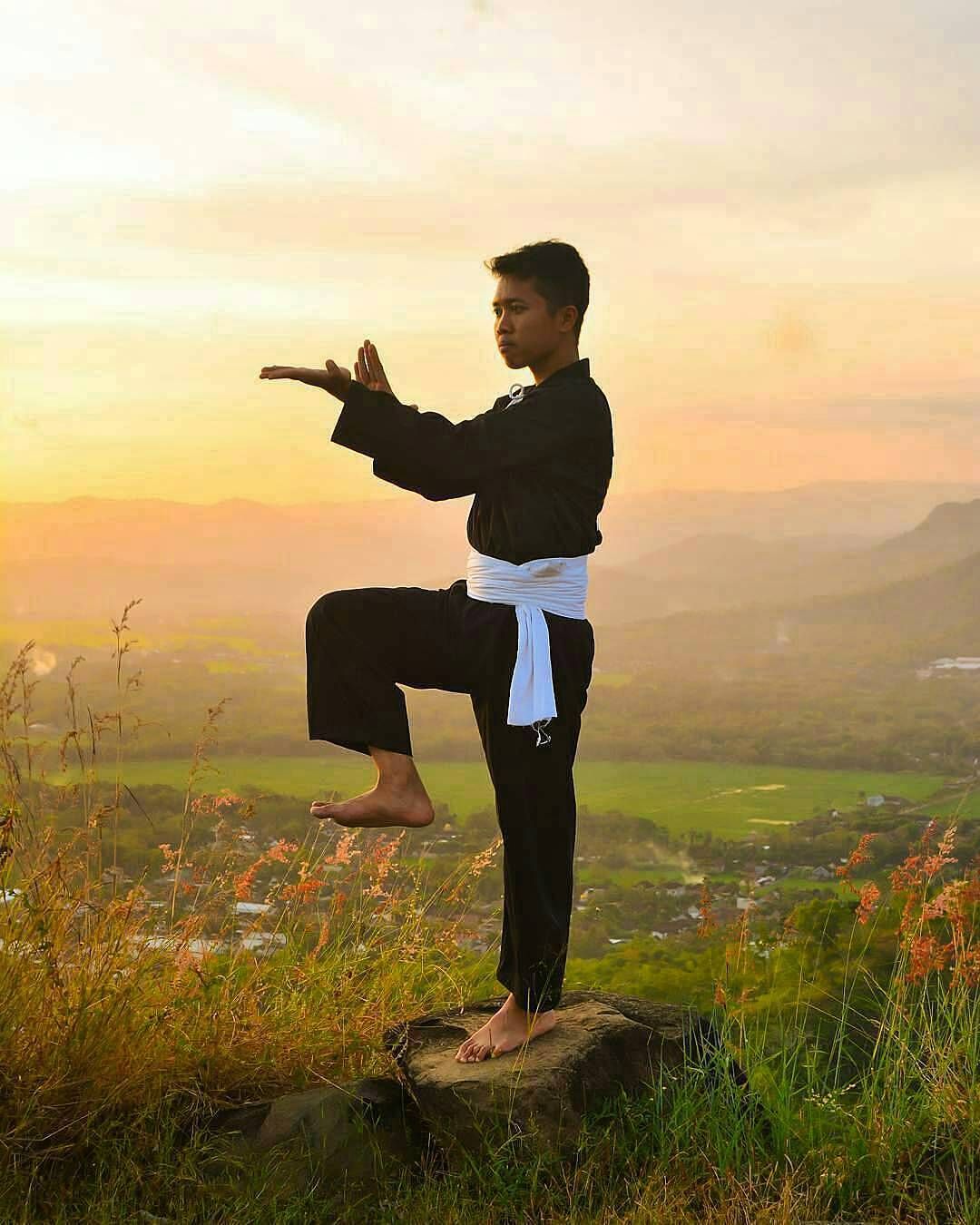 1080x1350 Pencak Silat. Pencak silat, Gambar, Bela diri