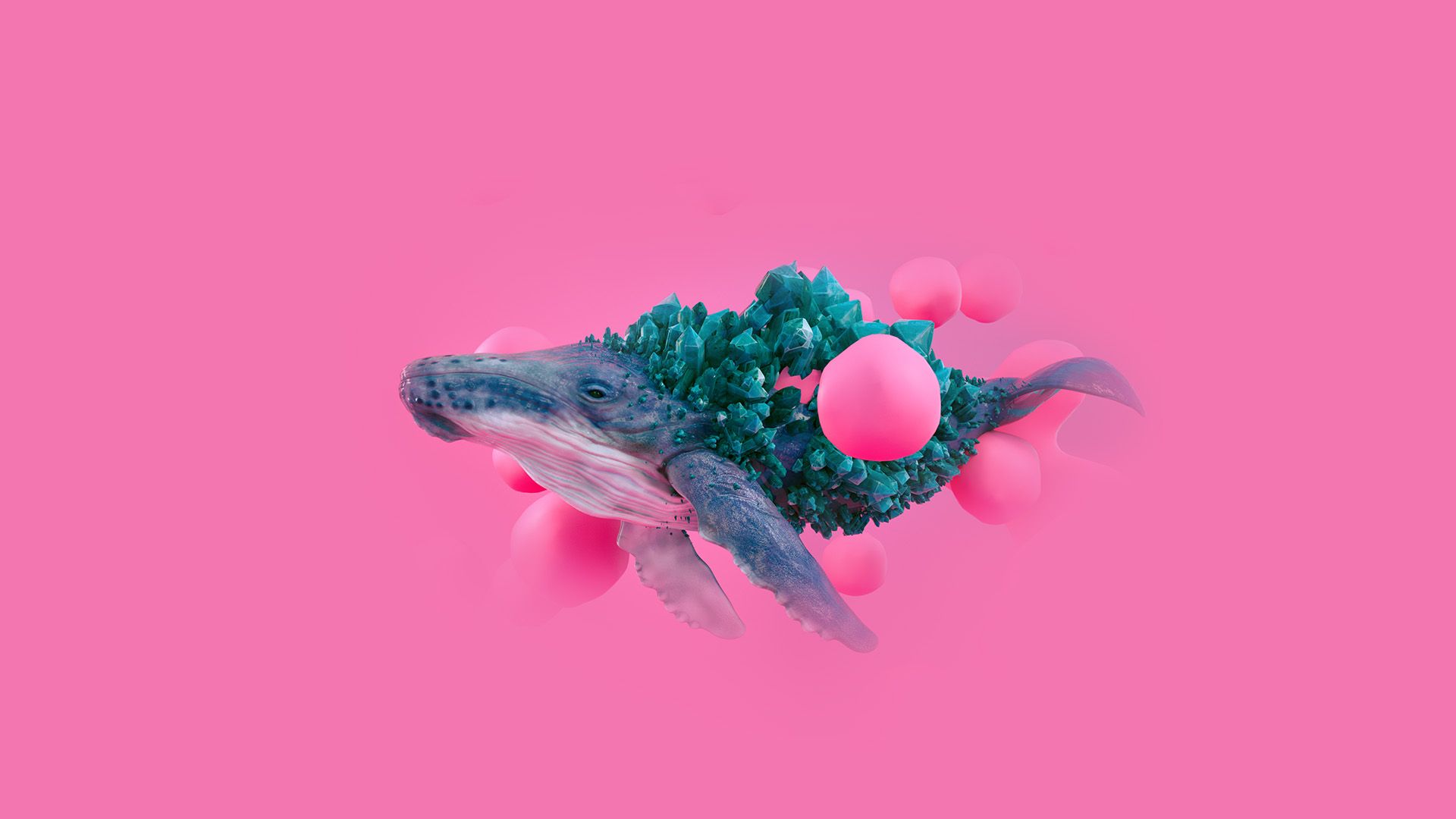 1920x1080 wallpaper for desktop, laptop. whale pink bubble illustration digital art animal