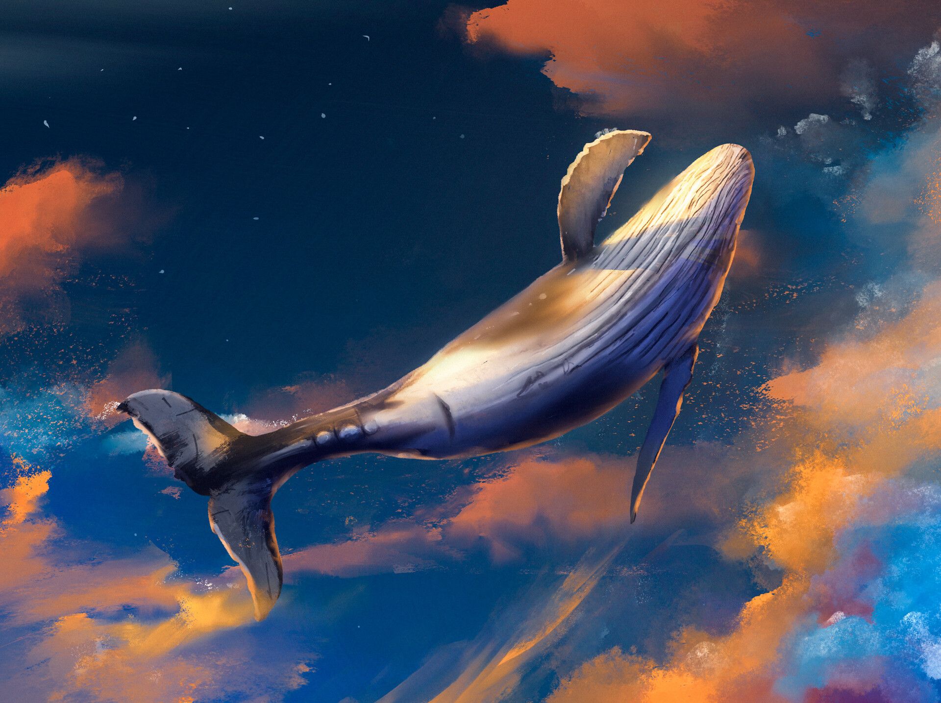 Whale Art Wallpapers - Top Free Whale Art Backgrounds - WallpaperAccess