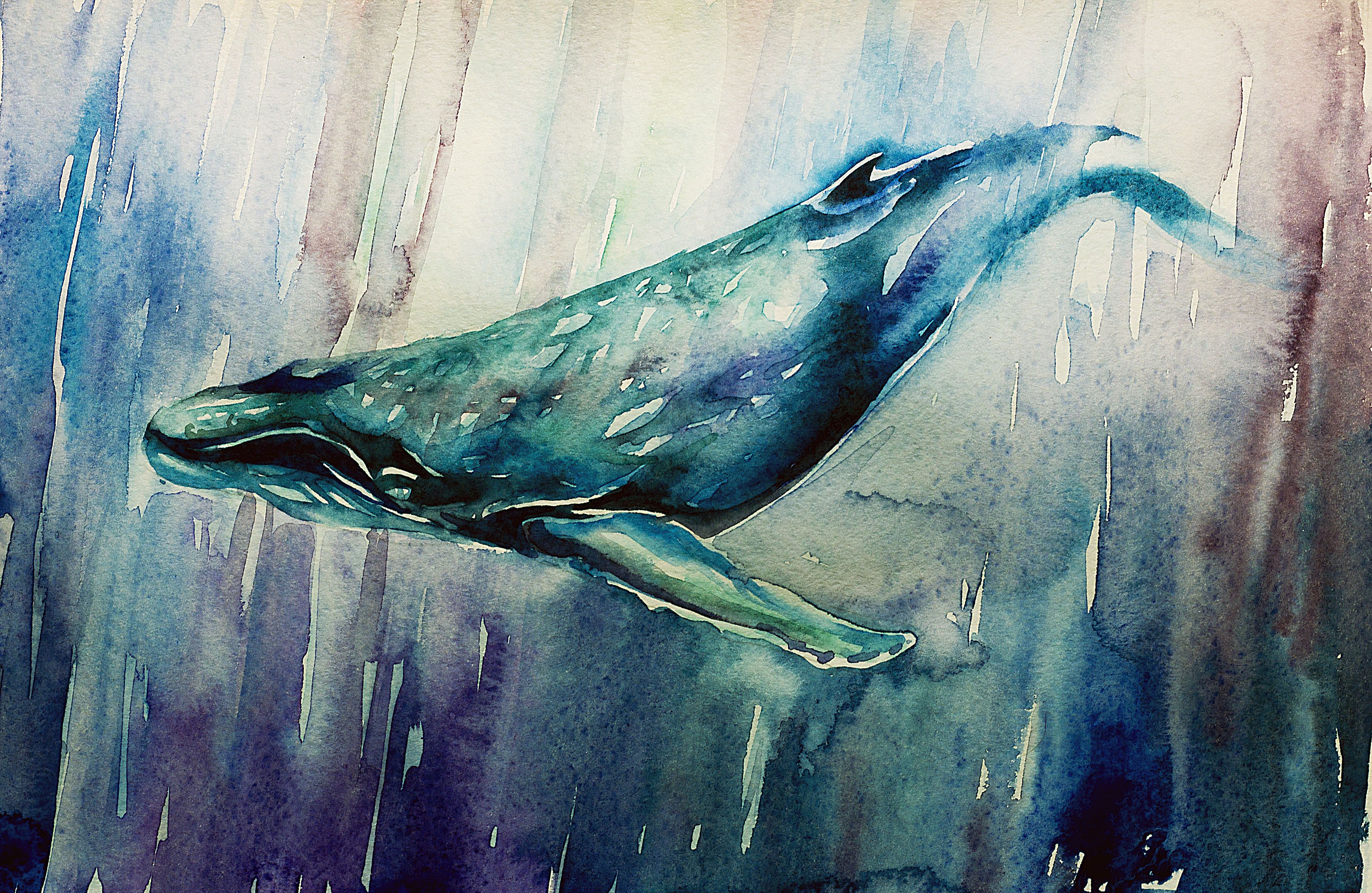 4222x2748 Blue Whale Art Wallpaper