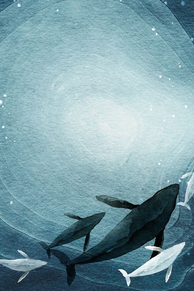 800x1200 Whales Frame Image Wallpaper
