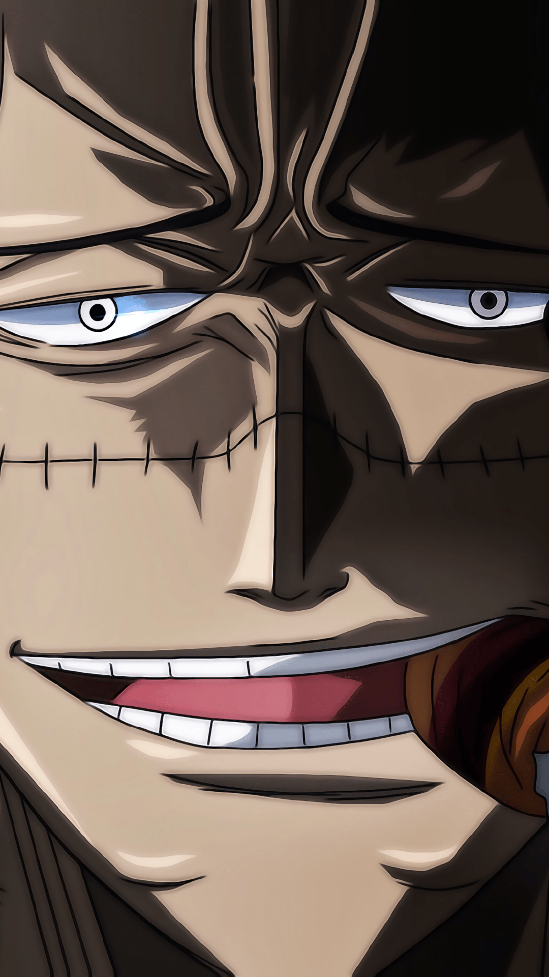 1080x1920 Wallpaper / Anime One Piece Phone Wallpaper, Crocodile (One Piece), 1080x1920 free download