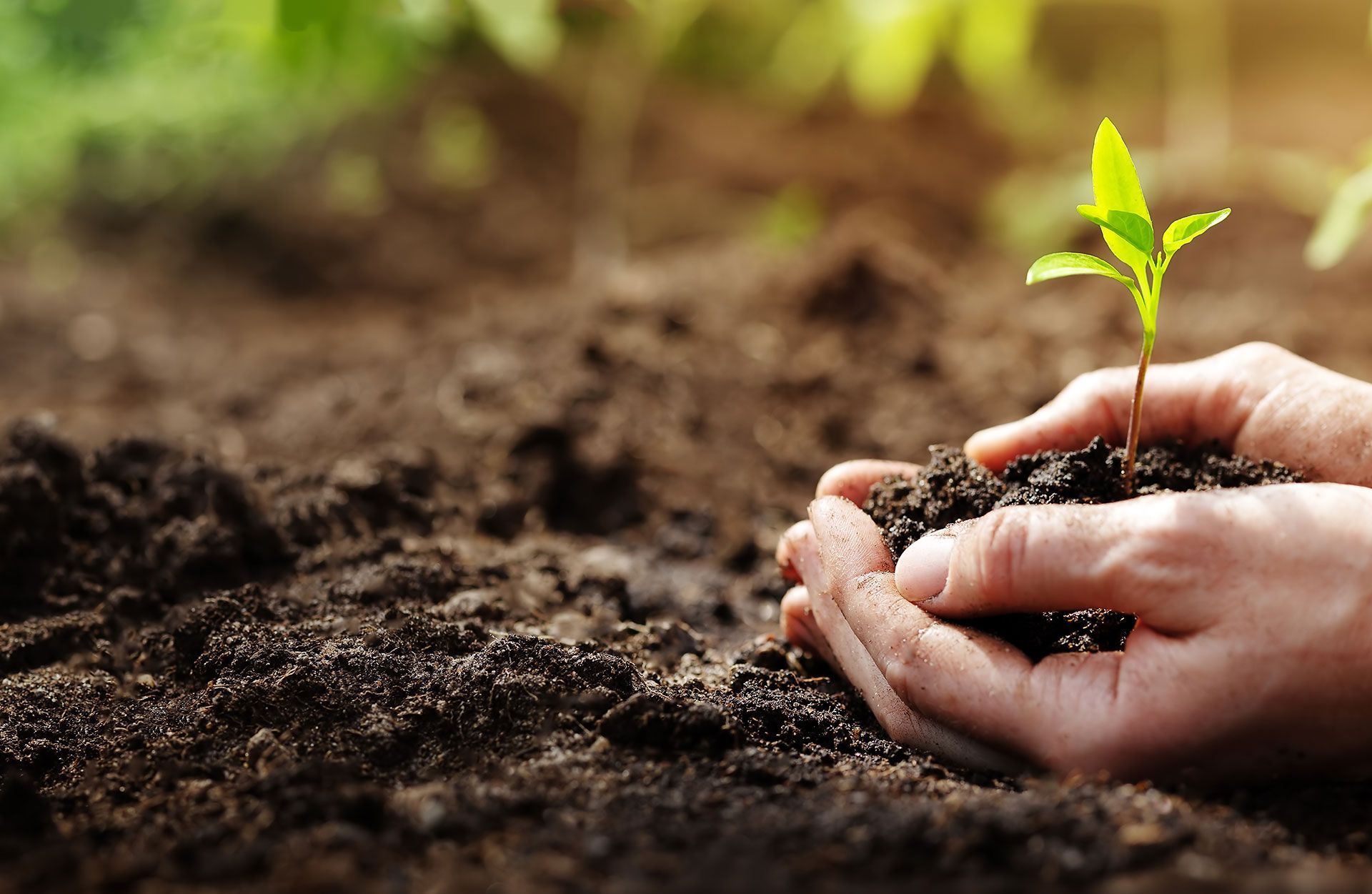 Biomass Wallpapers - Top Free Biomass Backgrounds - WallpaperAccess