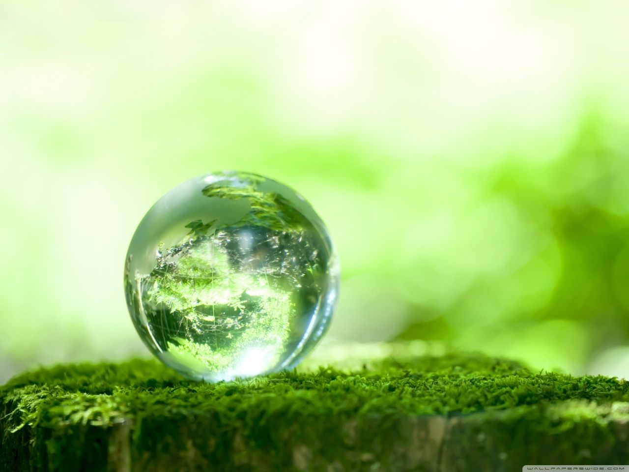 Biomass Wallpapers - Top Free Biomass Backgrounds - WallpaperAccess