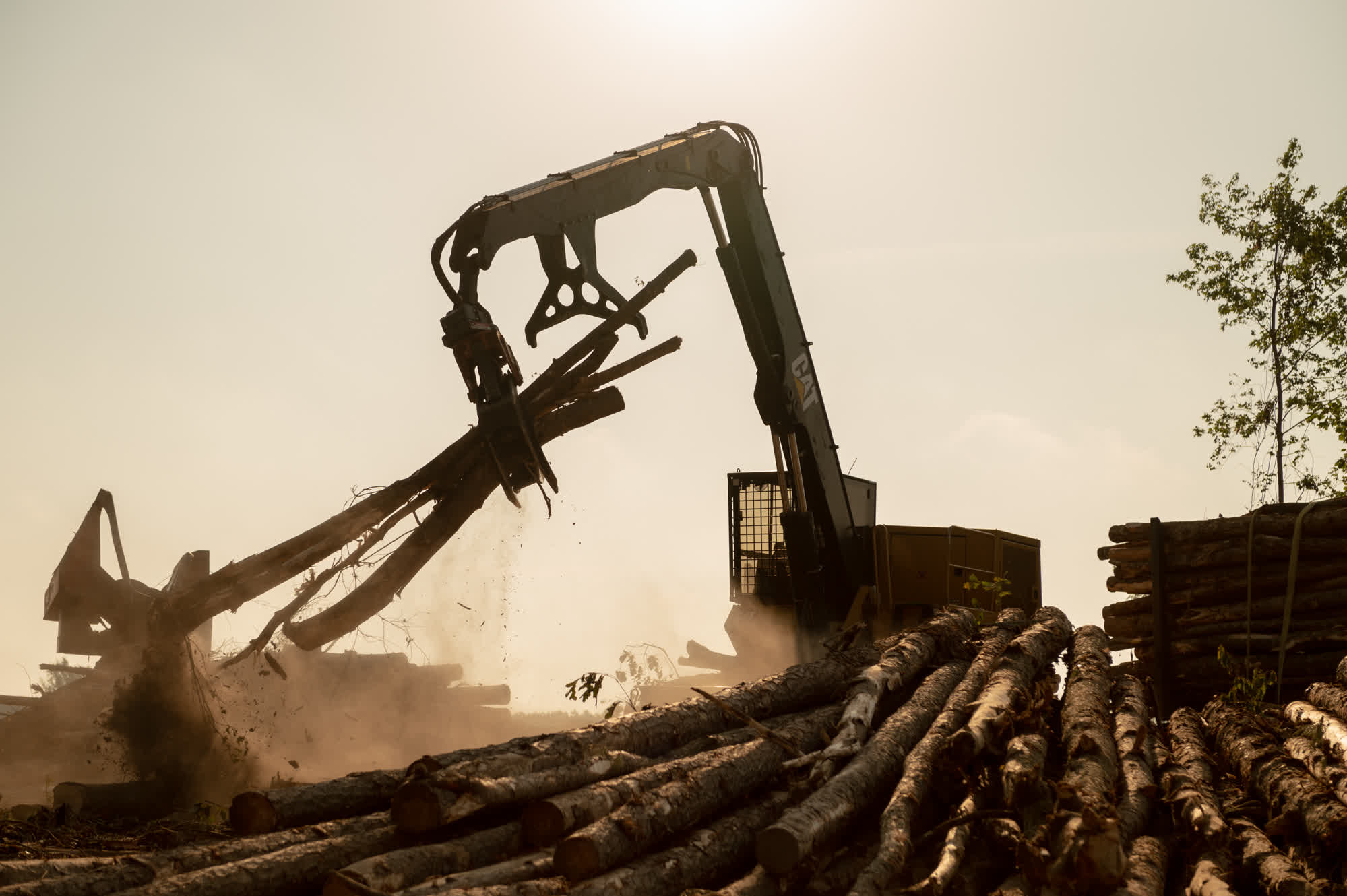 1999x1330 How the American South is paying the price for Europe's 'green' energy