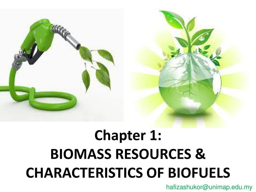 1024x768 Chapter 1: BIOMASS RESOURCES & CHARACTERISTICS OF BIOFUELS