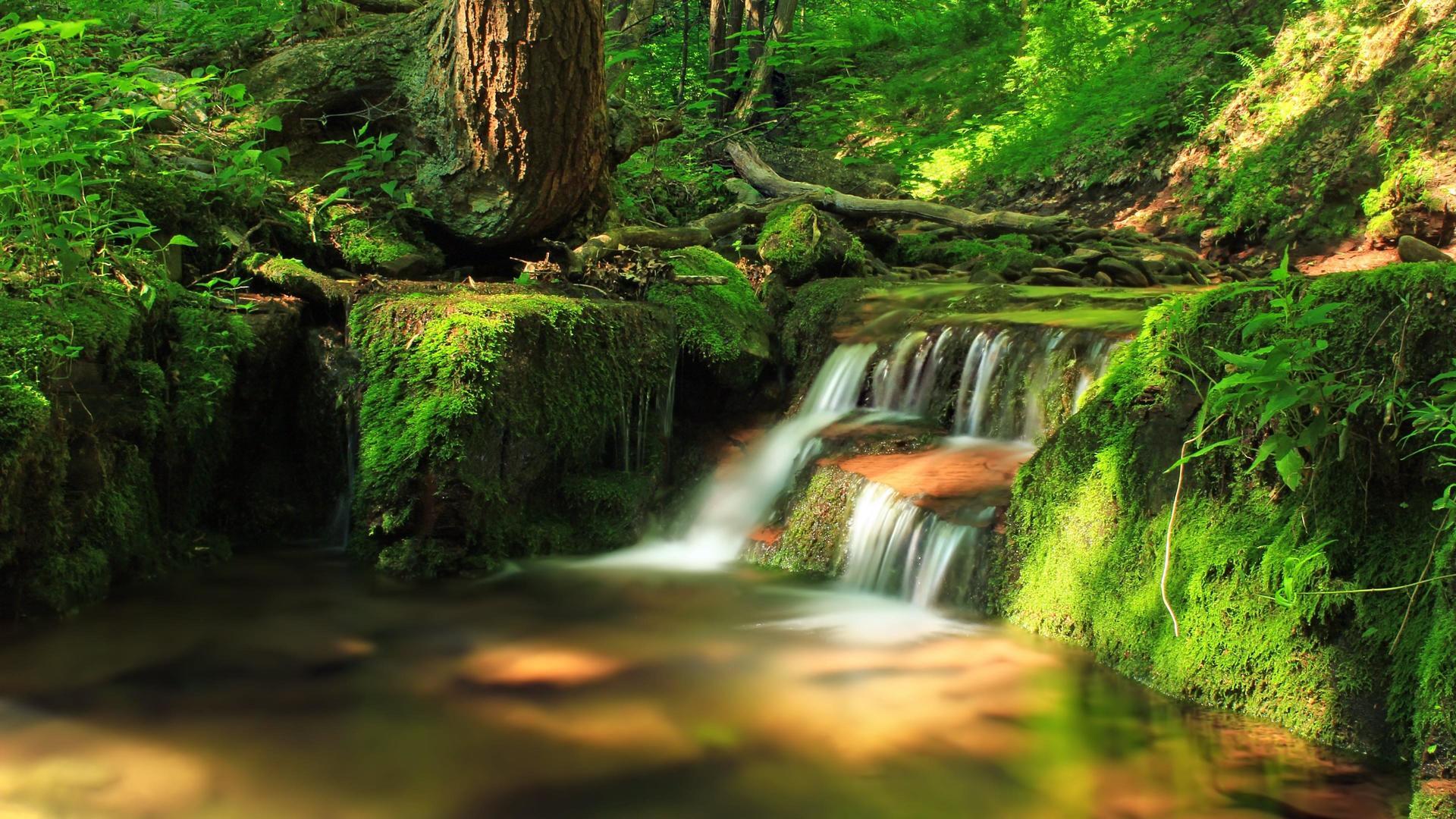 1920x1080 Mountain Stream Waterfall Among The Mossy Stones 4K UltraHD