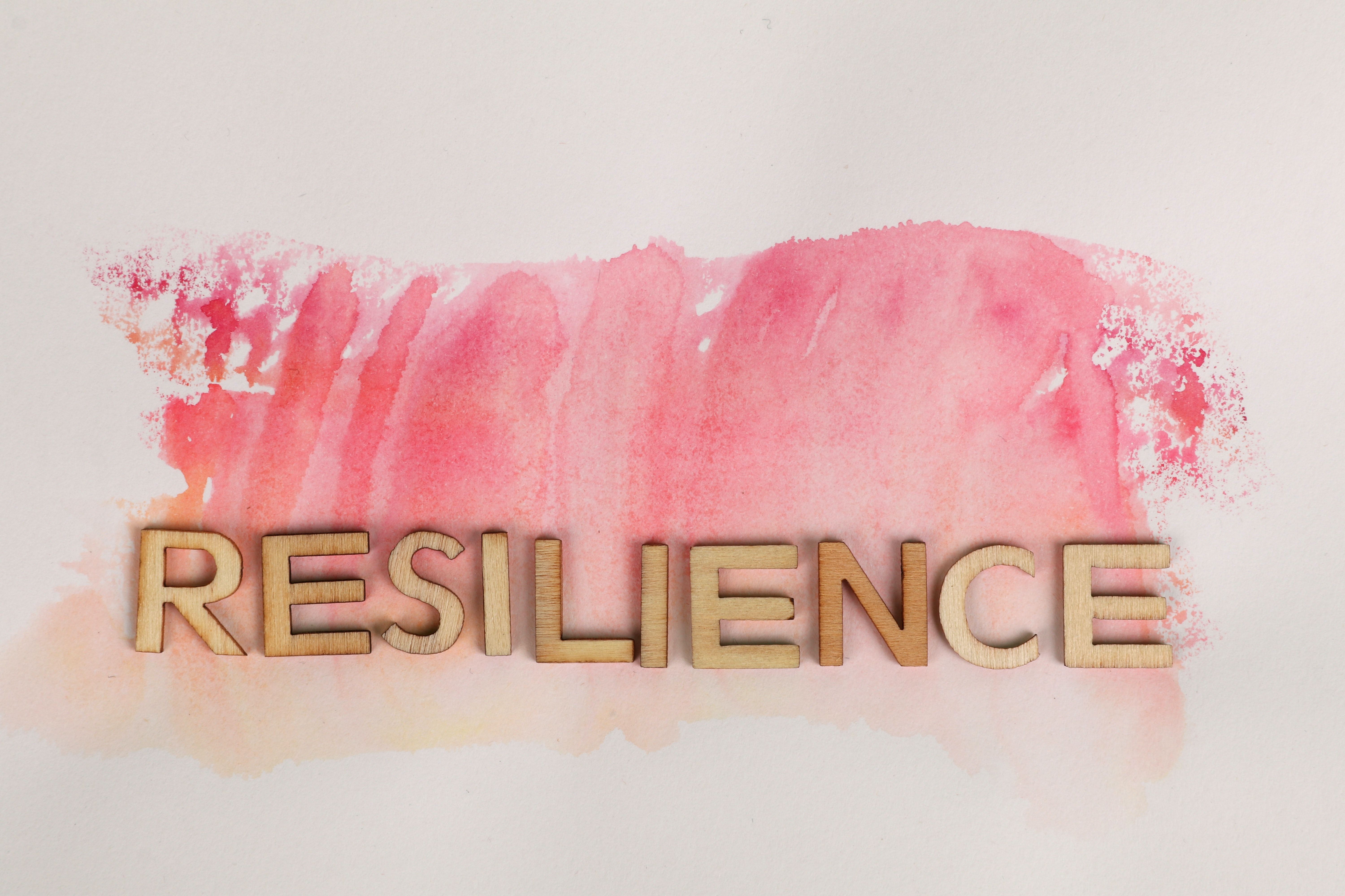 6000x4000 Resilience Photo, Download The BEST Free Resilience & HD Image