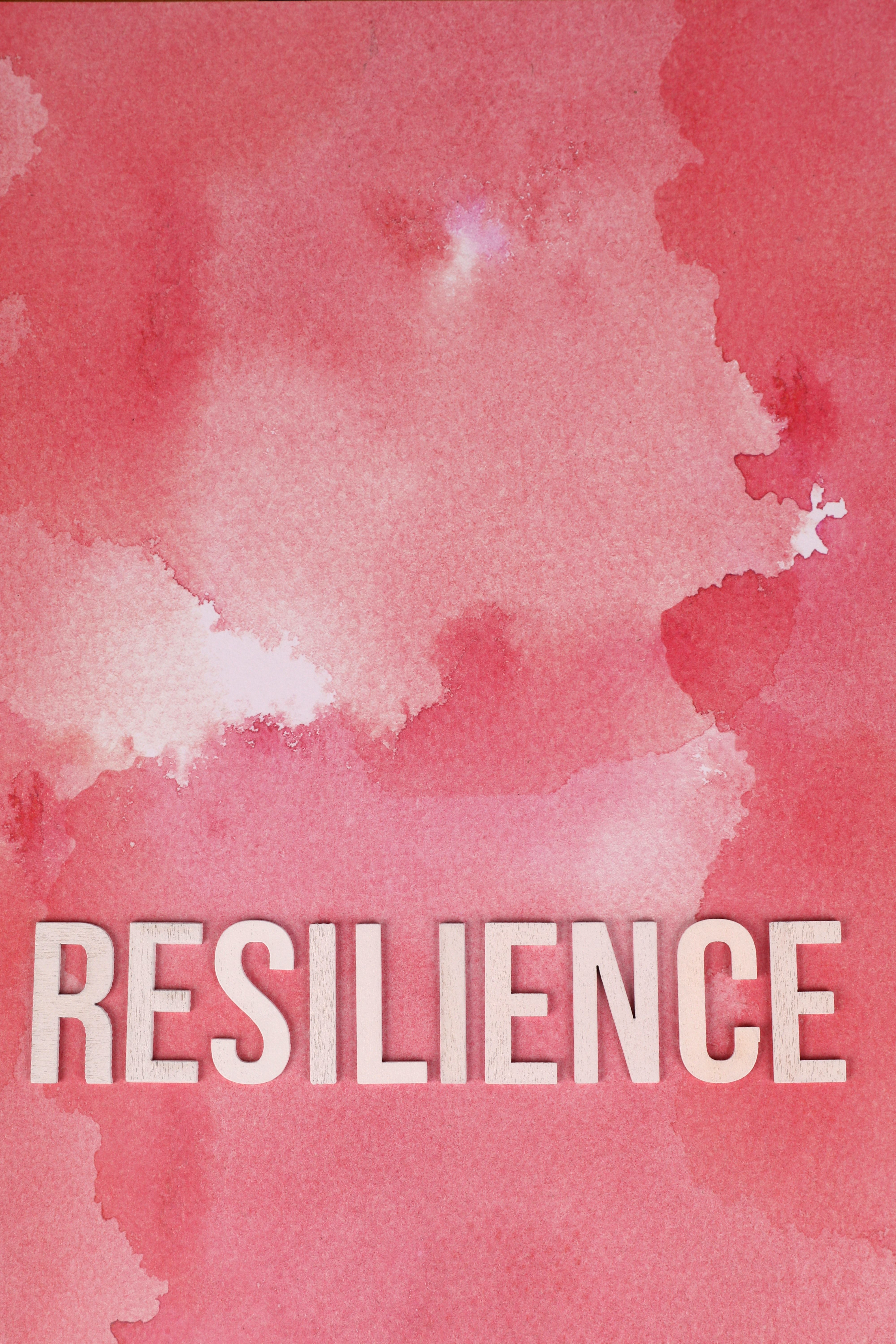 4000x6000 Resilience Photo, Download The BEST Free Resilience & HD Image