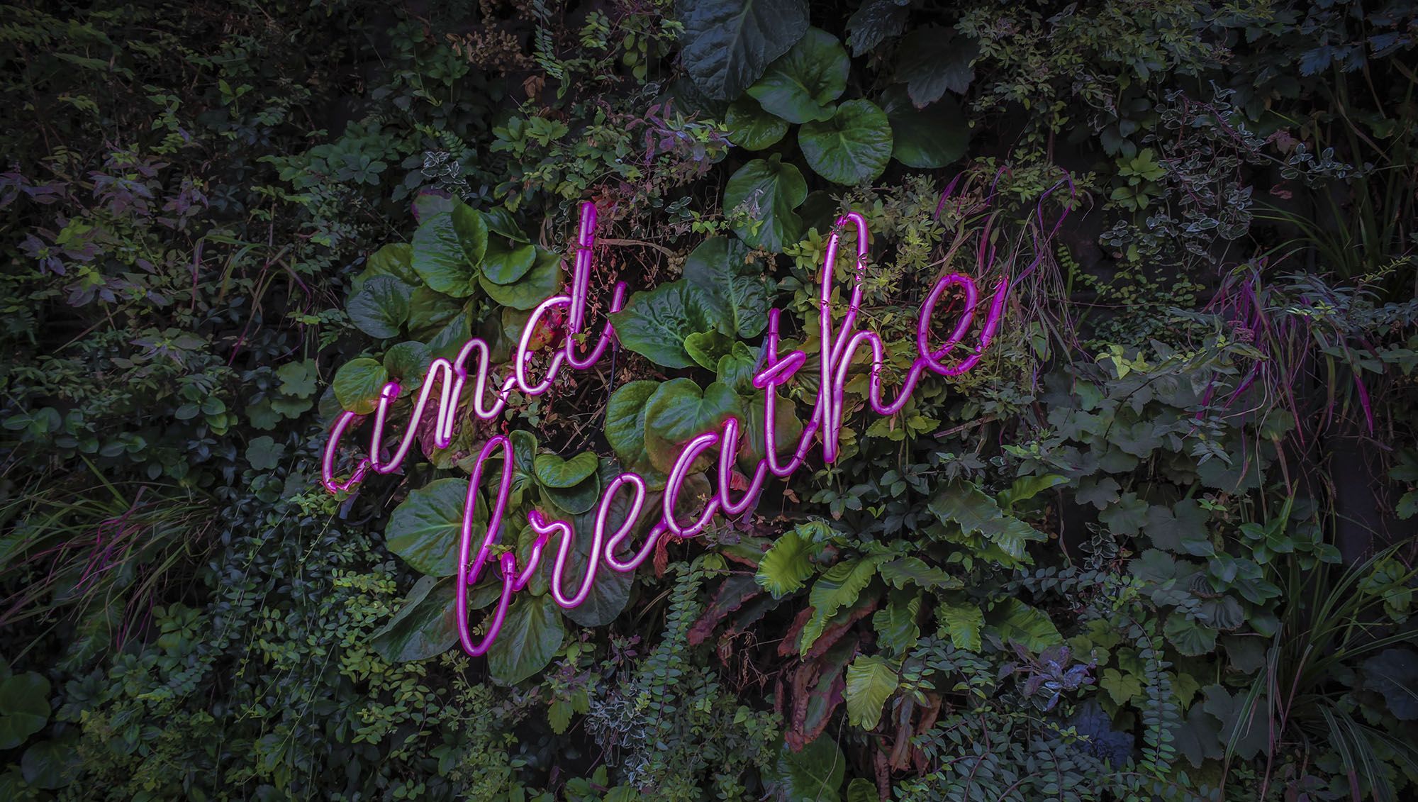2000x1131 Resilience